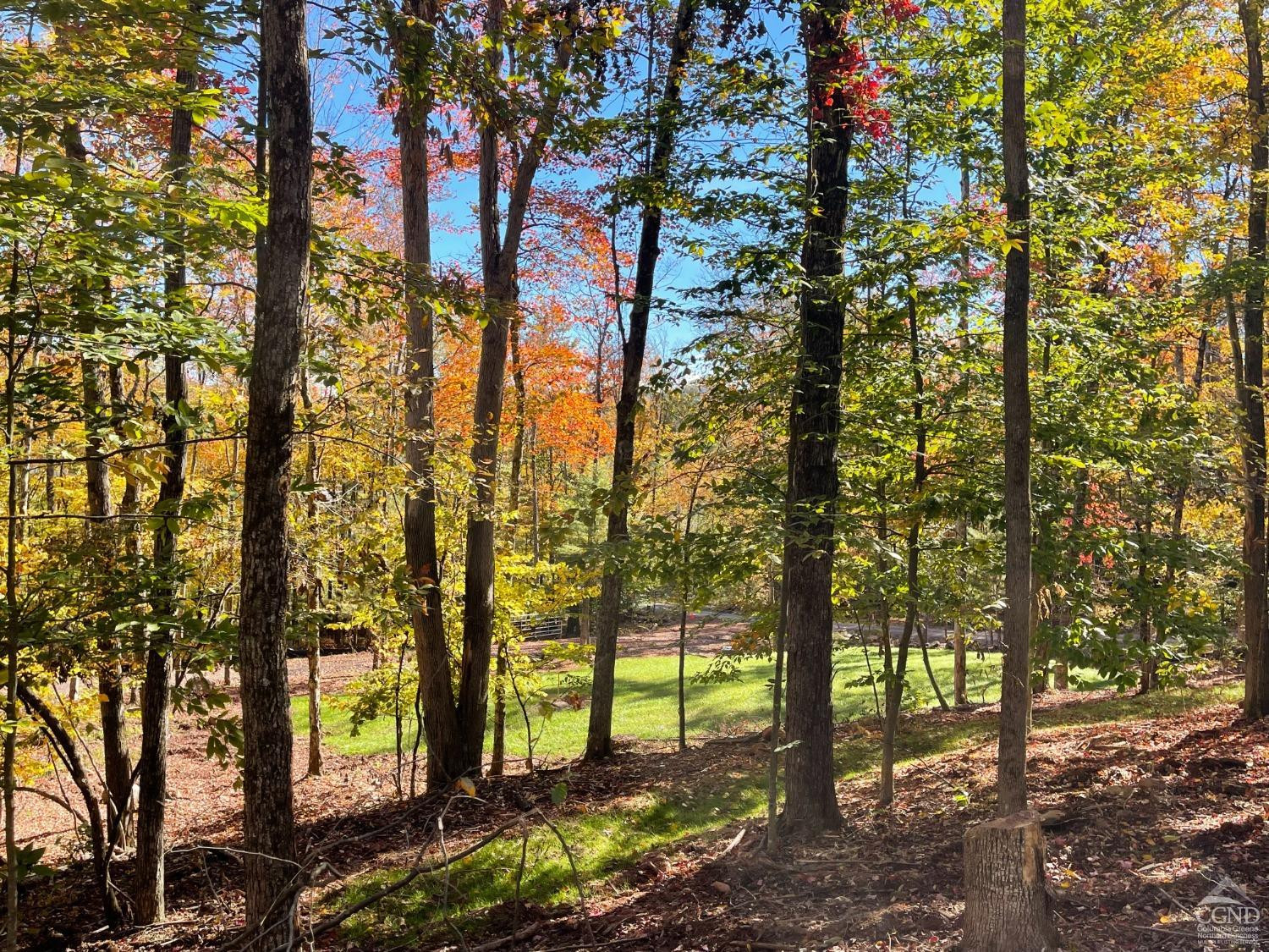 2 Windham Farms Road #LOT 2, Windham, New York image 10