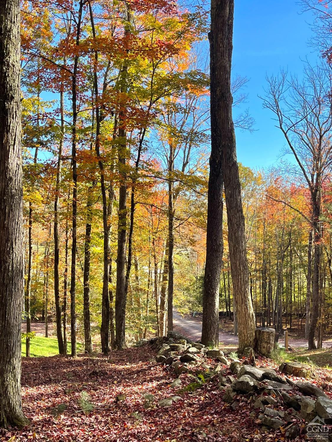 2 Windham Farms Road #LOT 2, Windham, New York image 9