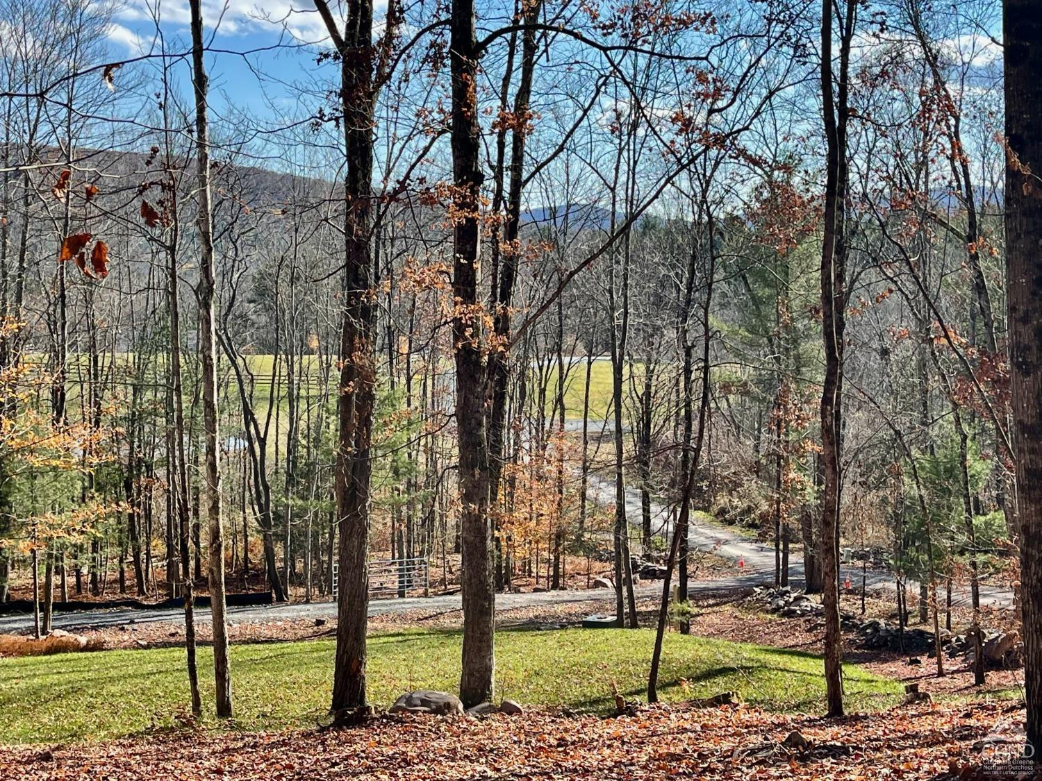 2 Windham Farms Road #LOT 2, Windham, New York image 4