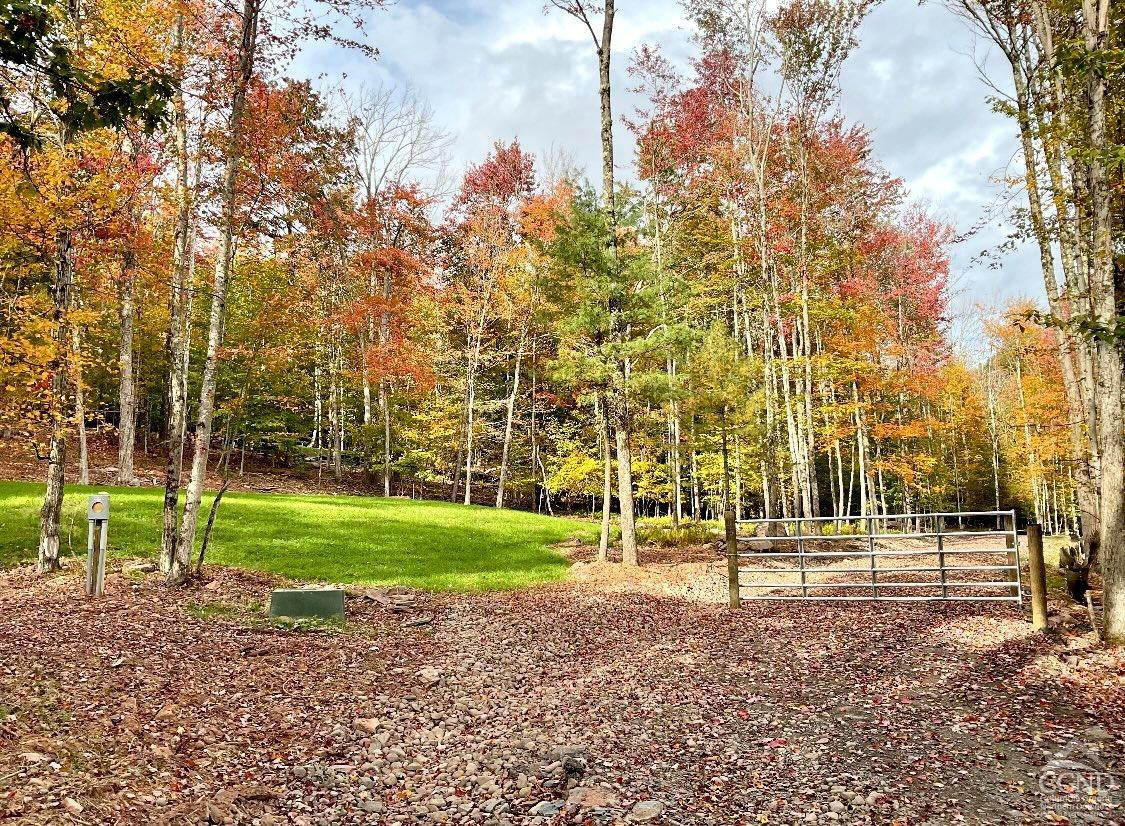 2 Windham Farms Road #LOT 2, Windham, New York image 8