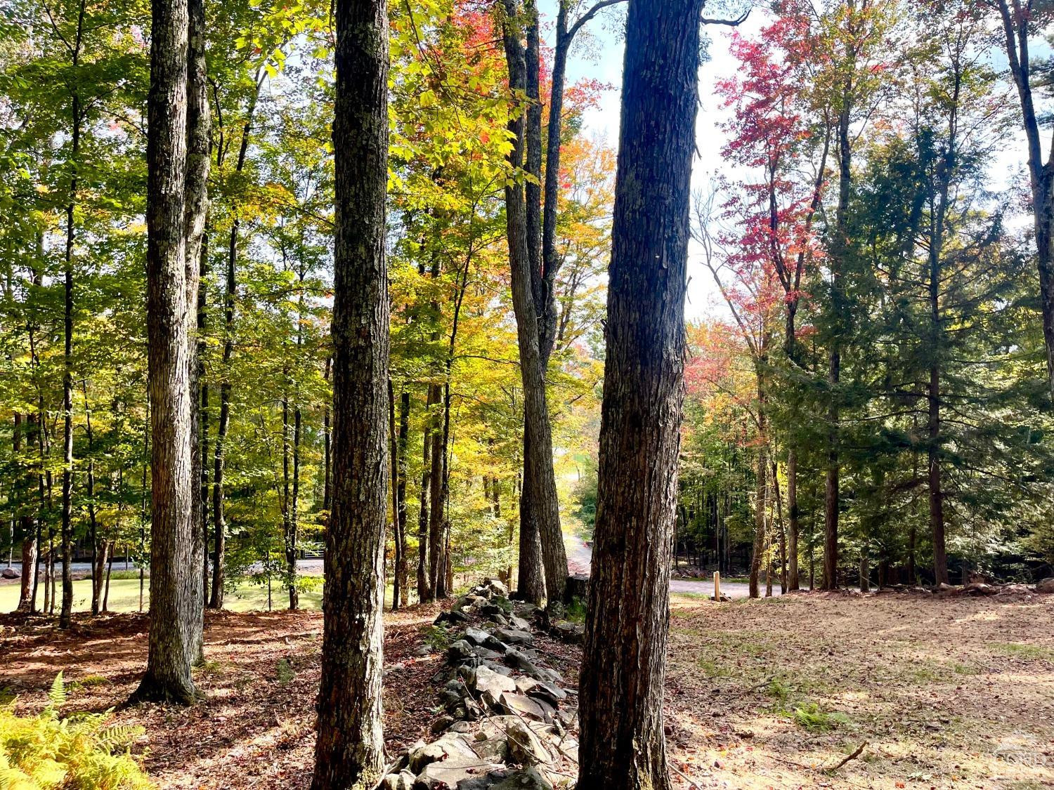 2 Windham Farms Road #LOT 2, Windham, New York image 16