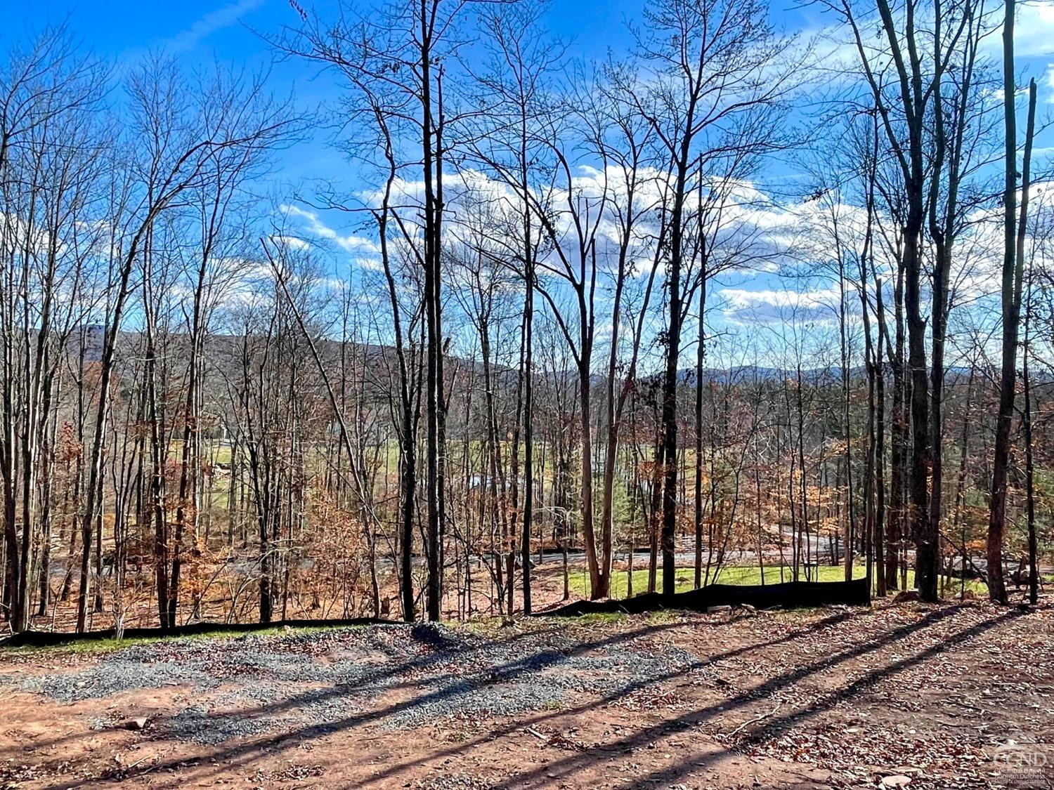 2 Windham Farms Road #LOT 2, Windham, New York image 3