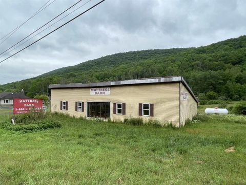8663 Route 28, Pine Hill, NY 12465 - #: 20231725
