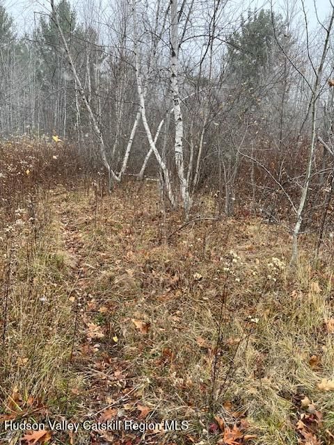 Vacant Land For Sale - TBD Goshen Street<br/> Jewett, NY 12444