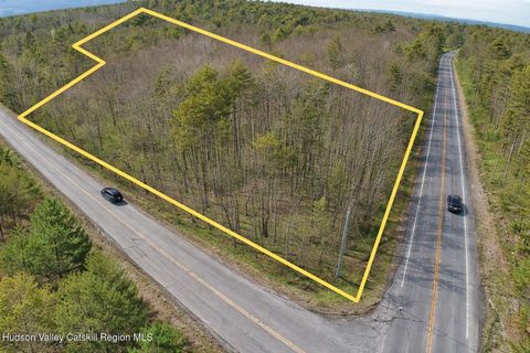 Vacant Land For Sale - TBD Silver Spur Road<br/> Greene County, Cairo, NY 12413
