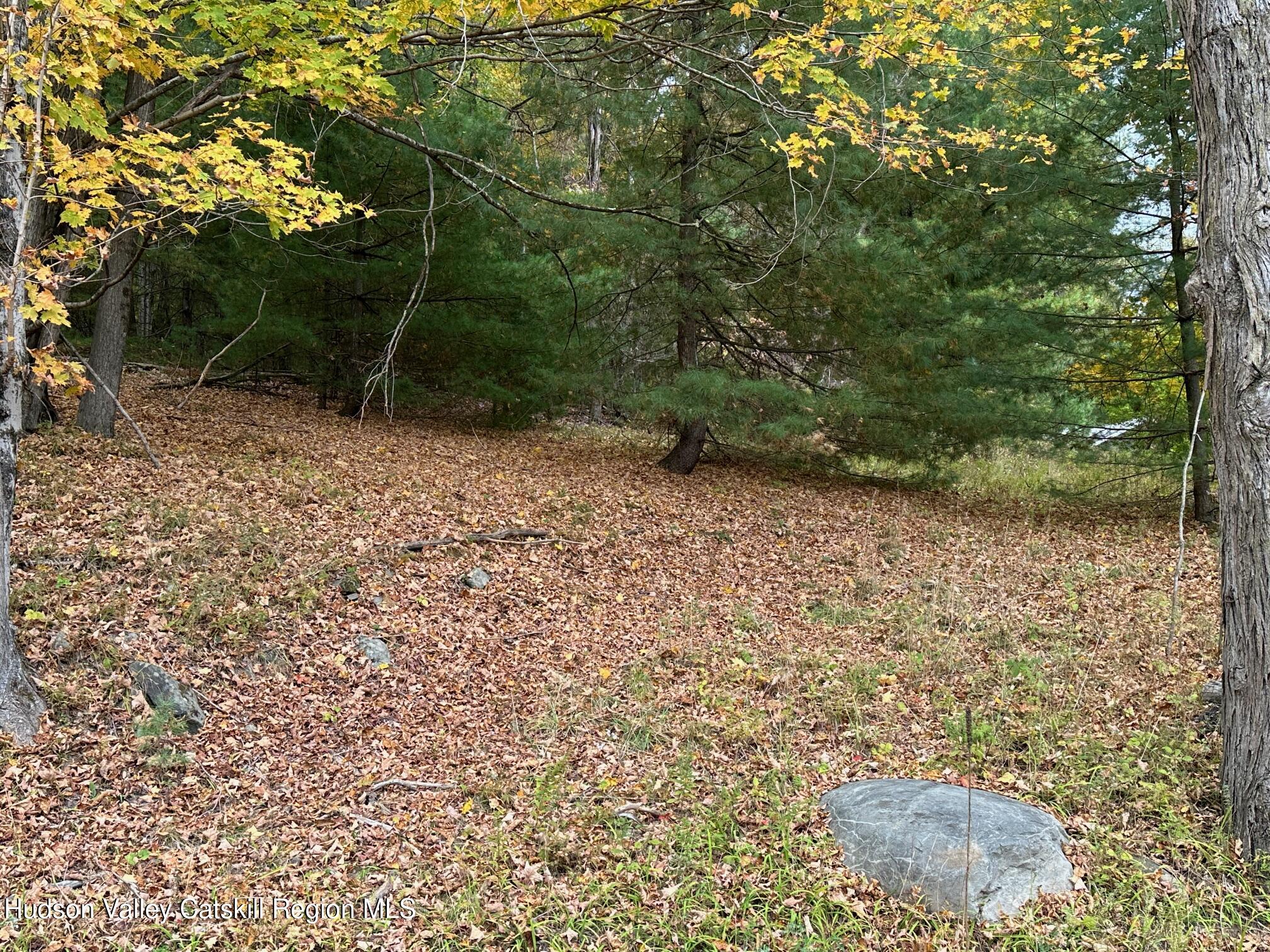 Tbd Oak Ridge Road, Ellenville, New York image 8