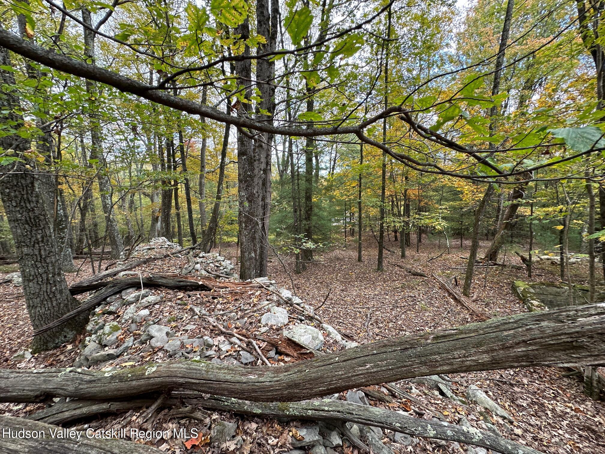 Tbd Oak Ridge Road, Ellenville, New York image 13