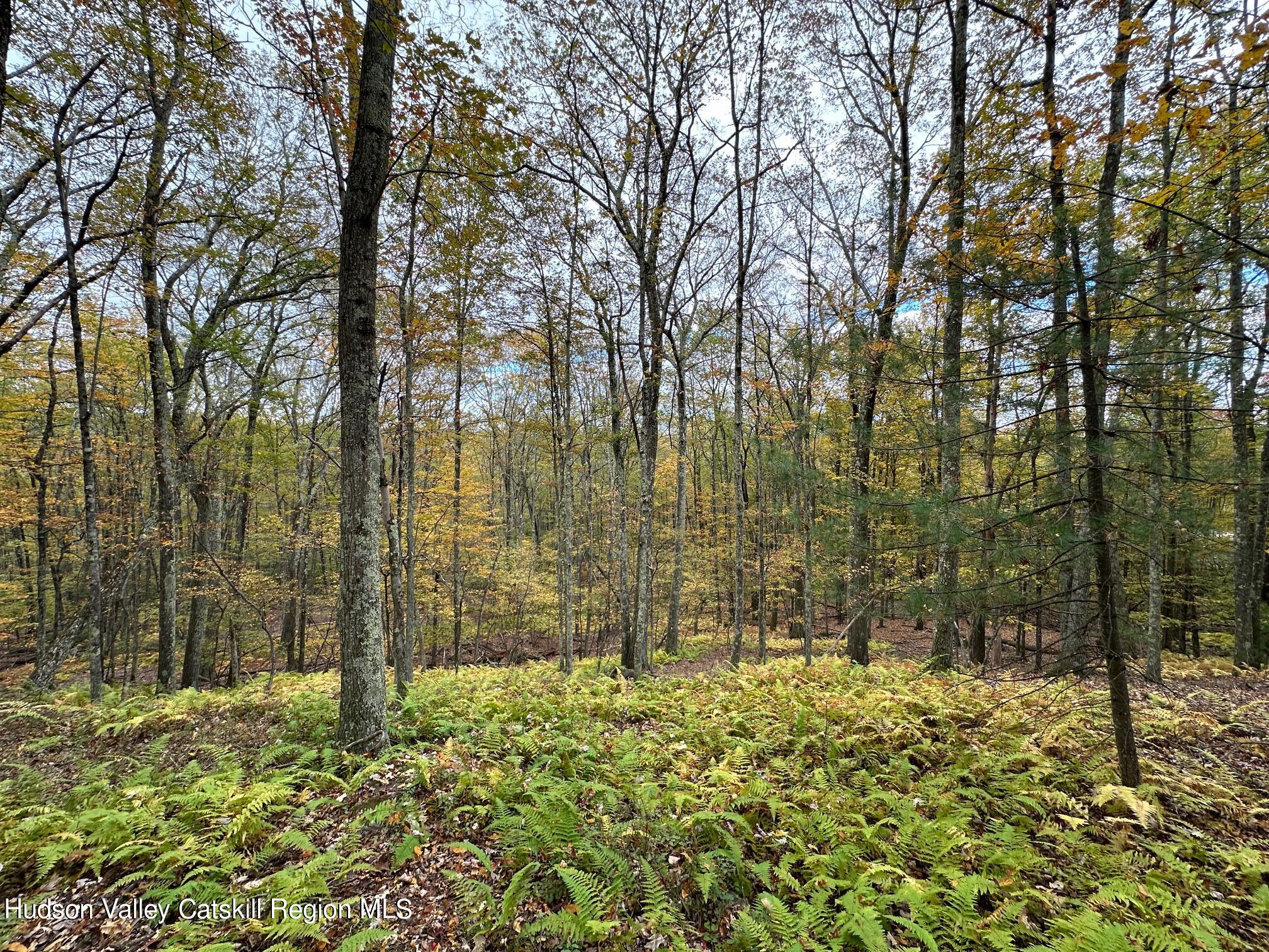 Tbd Oak Ridge Road, Ellenville, New York image 16