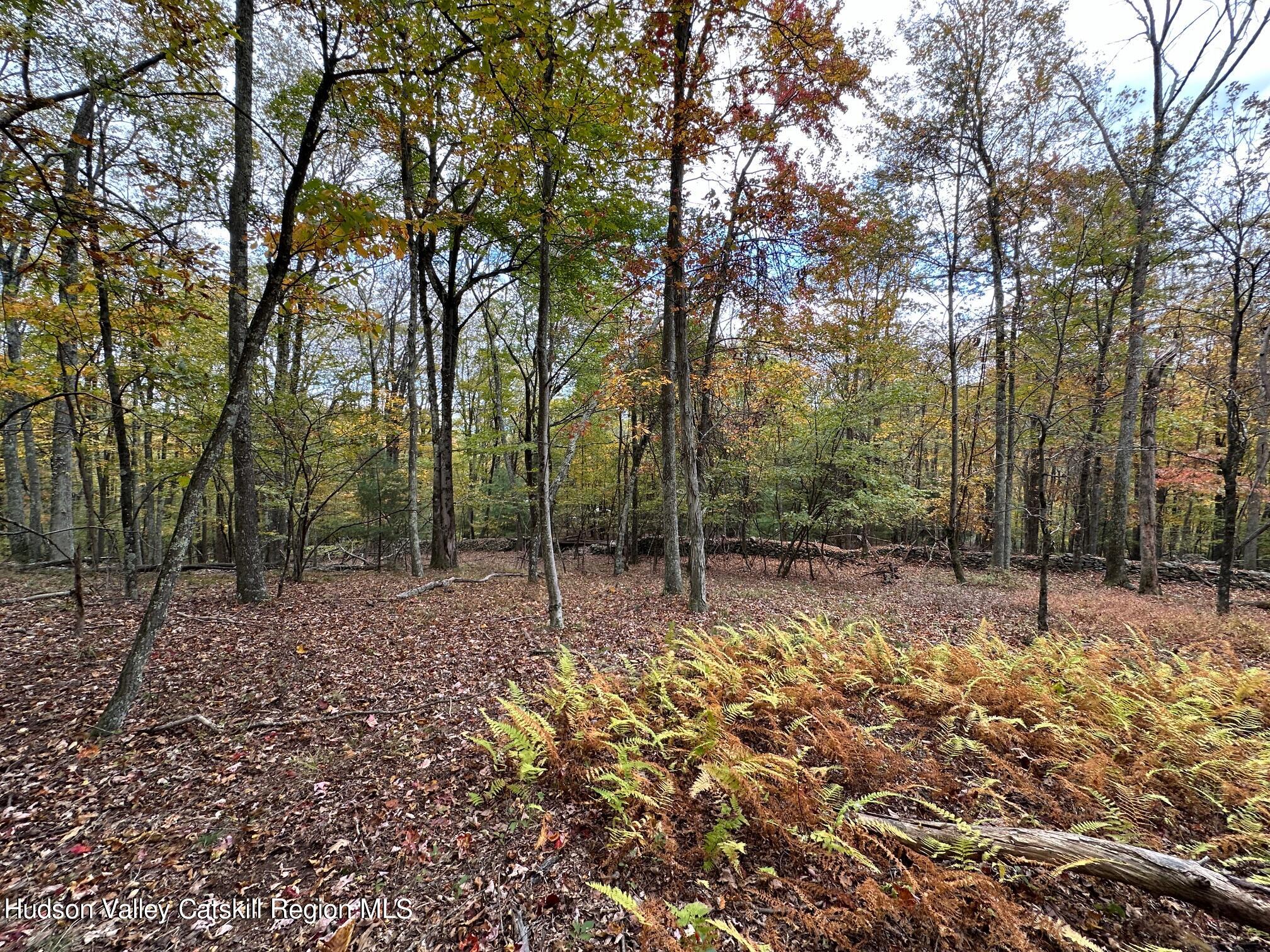 Tbd Oak Ridge Road, Ellenville, New York image 14