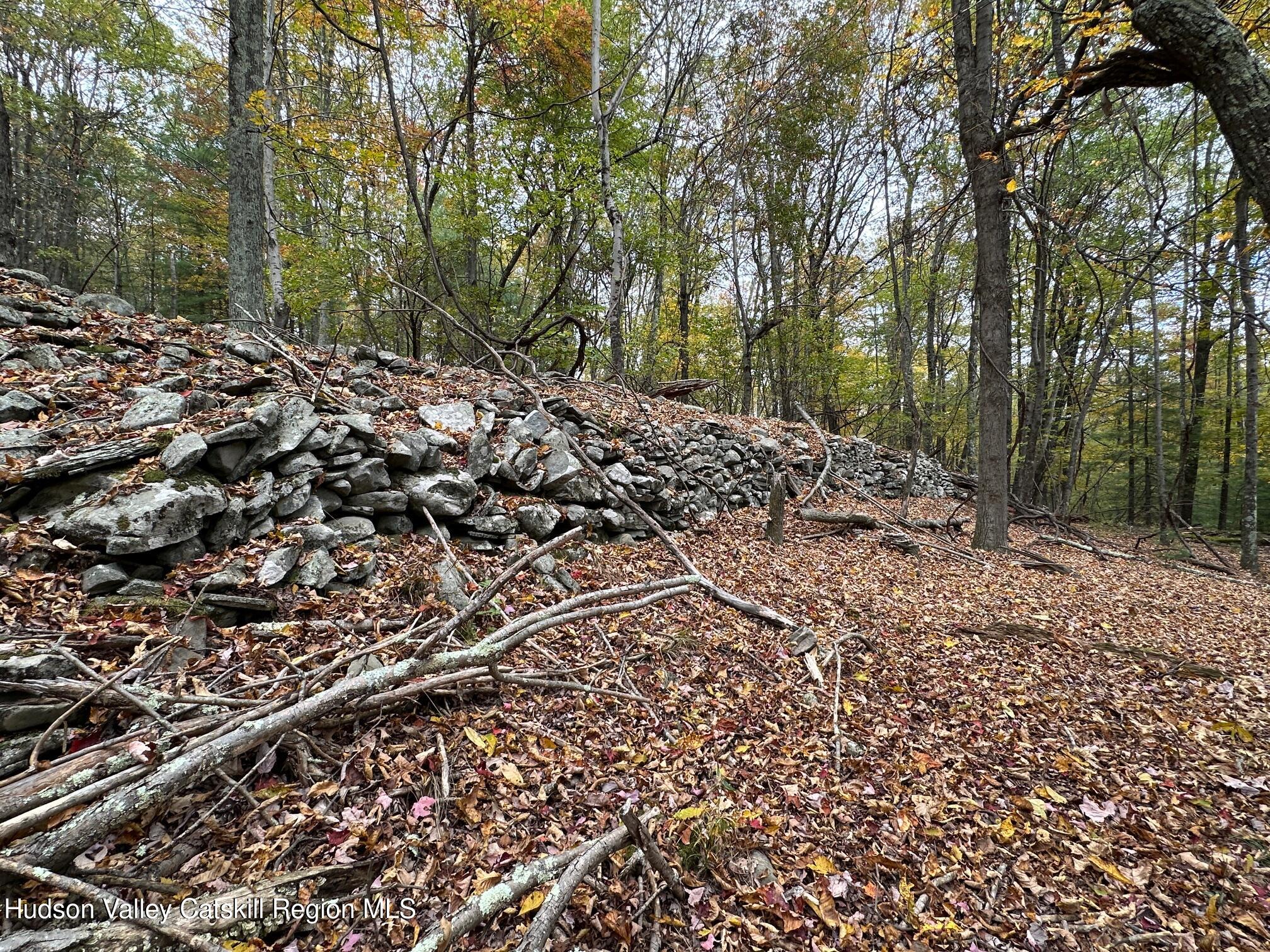 Tbd Oak Ridge Road, Ellenville, New York image 12