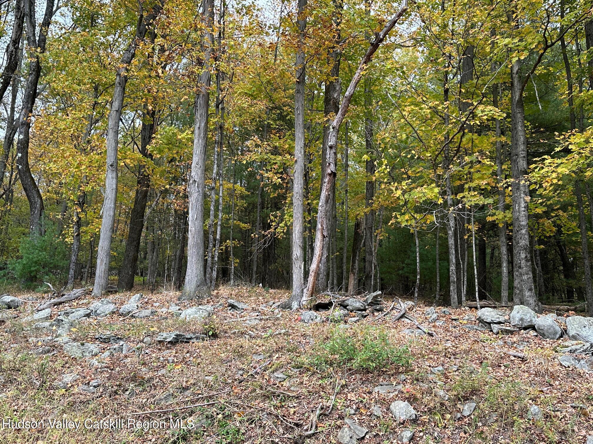 Tbd Oak Ridge Road, Ellenville, New York image 7