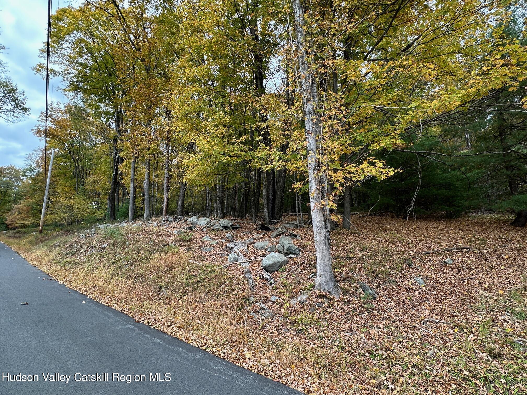 Tbd Oak Ridge Road, Ellenville, New York image 4
