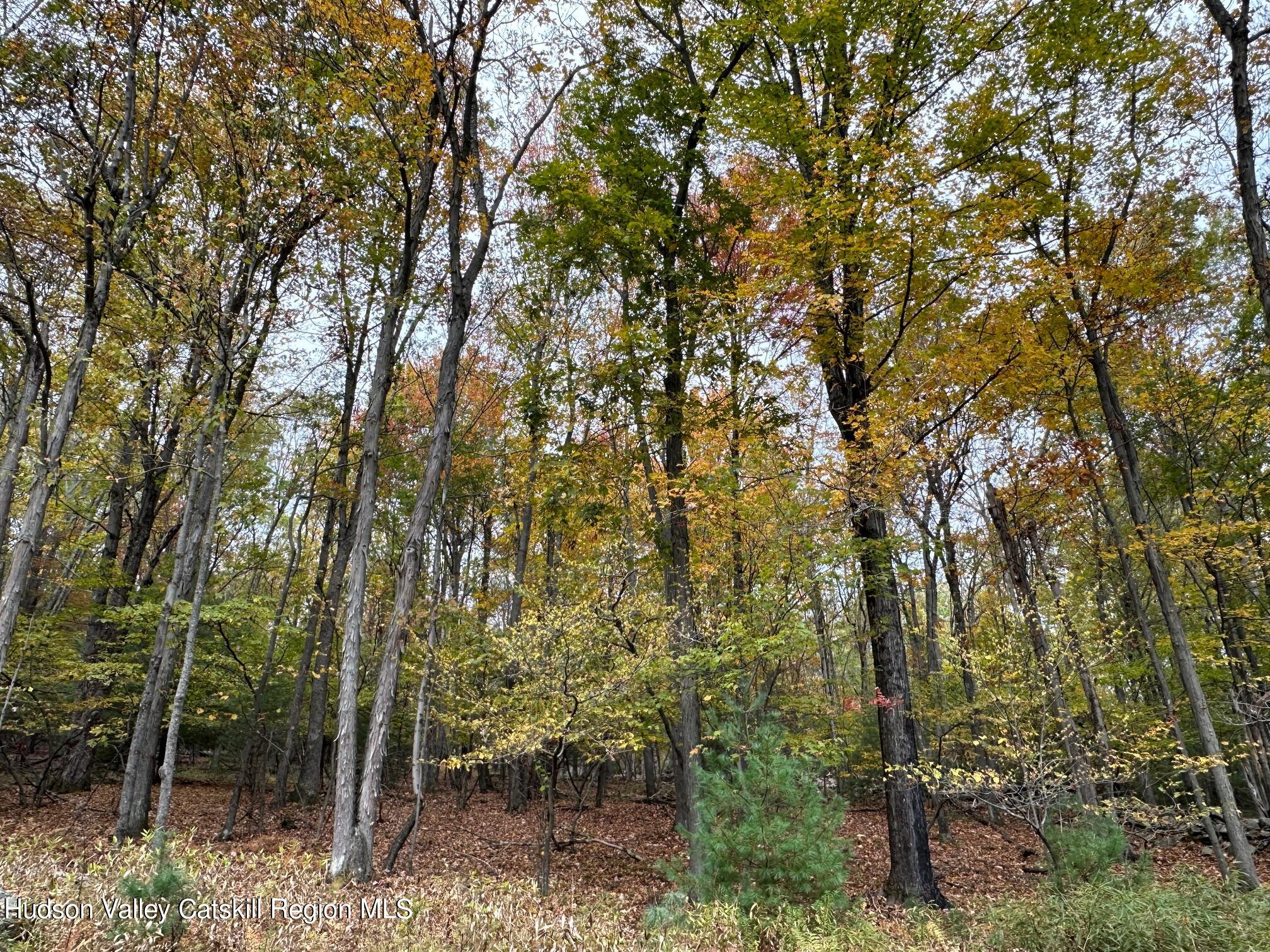 Tbd Oak Ridge Road, Ellenville, New York image 10