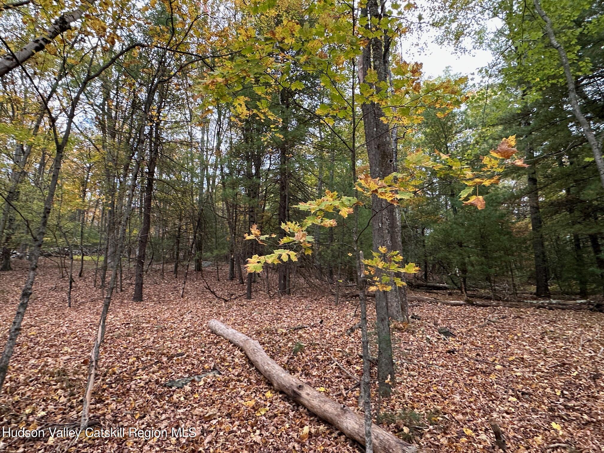 Tbd Oak Ridge Road, Ellenville, New York image 23