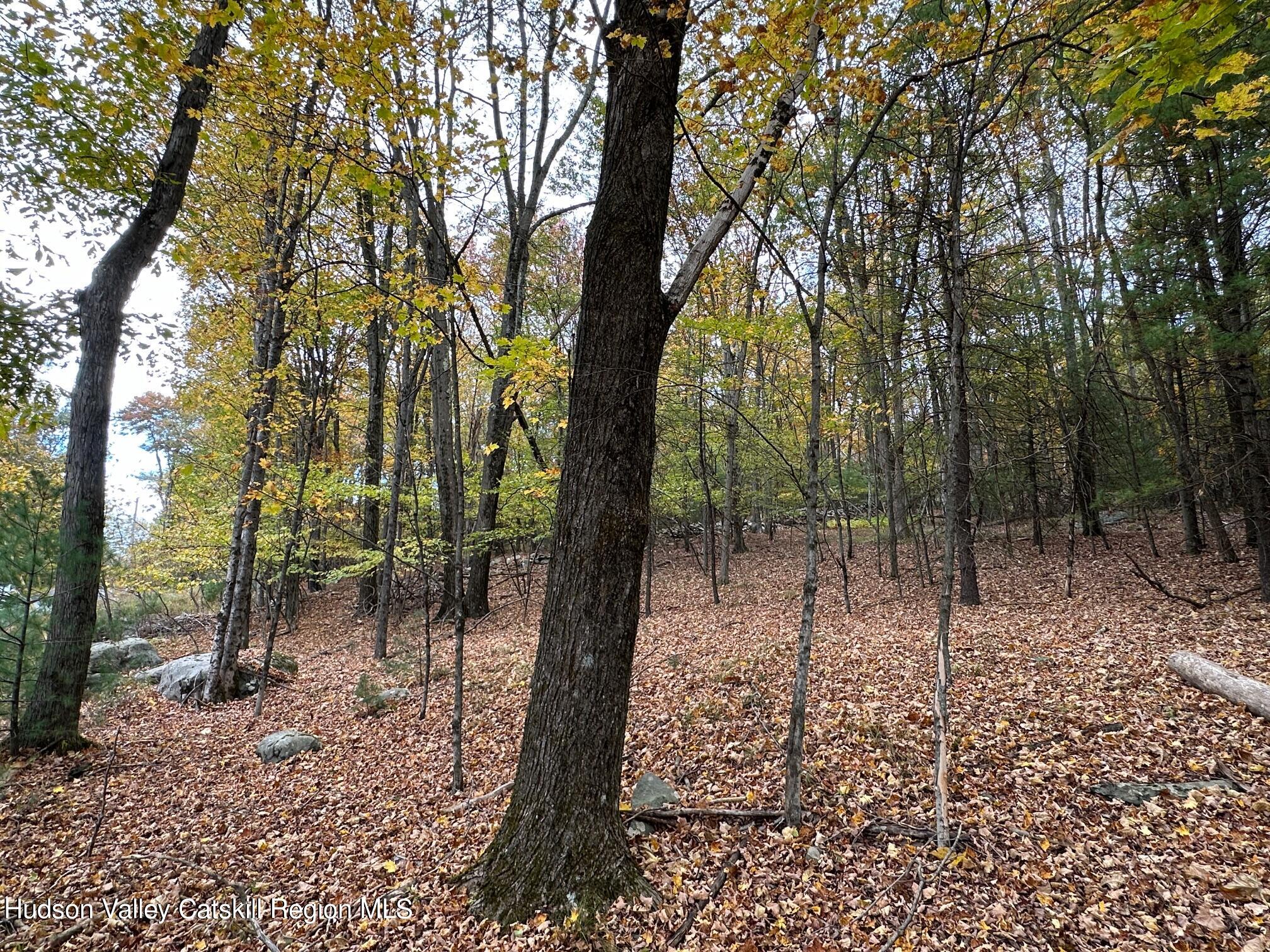 Tbd Oak Ridge Road, Ellenville, New York image 22