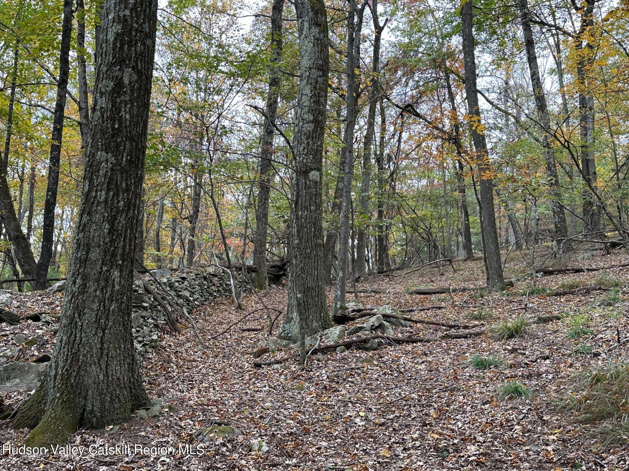 Tbd Oak Ridge Road, Ellenville, New York image 17