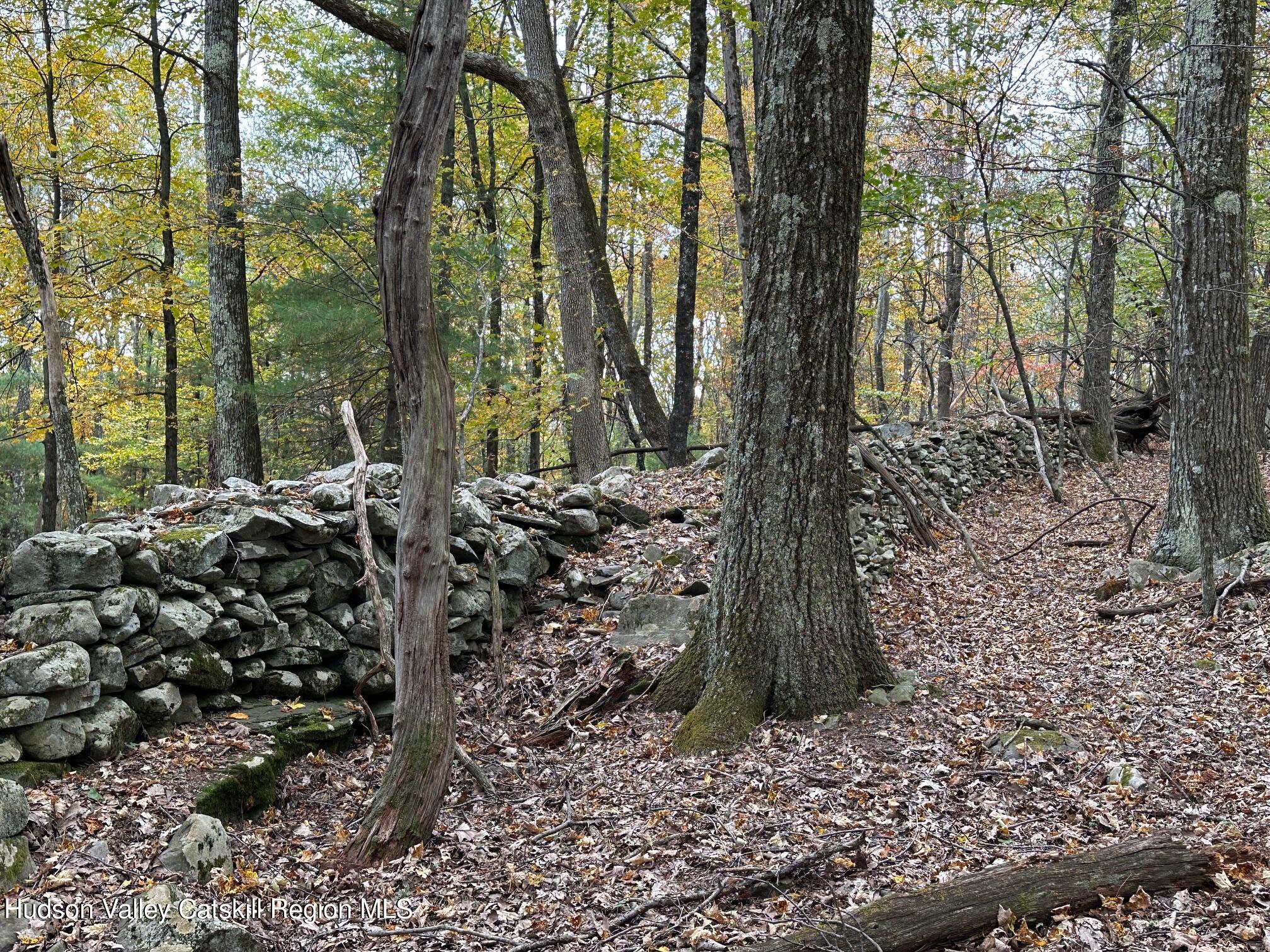 Tbd Oak Ridge Road, Ellenville, New York image 19