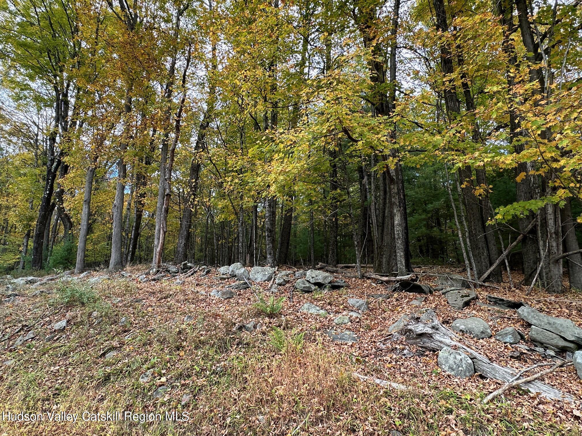 Tbd Oak Ridge Road, Ellenville, New York image 26
