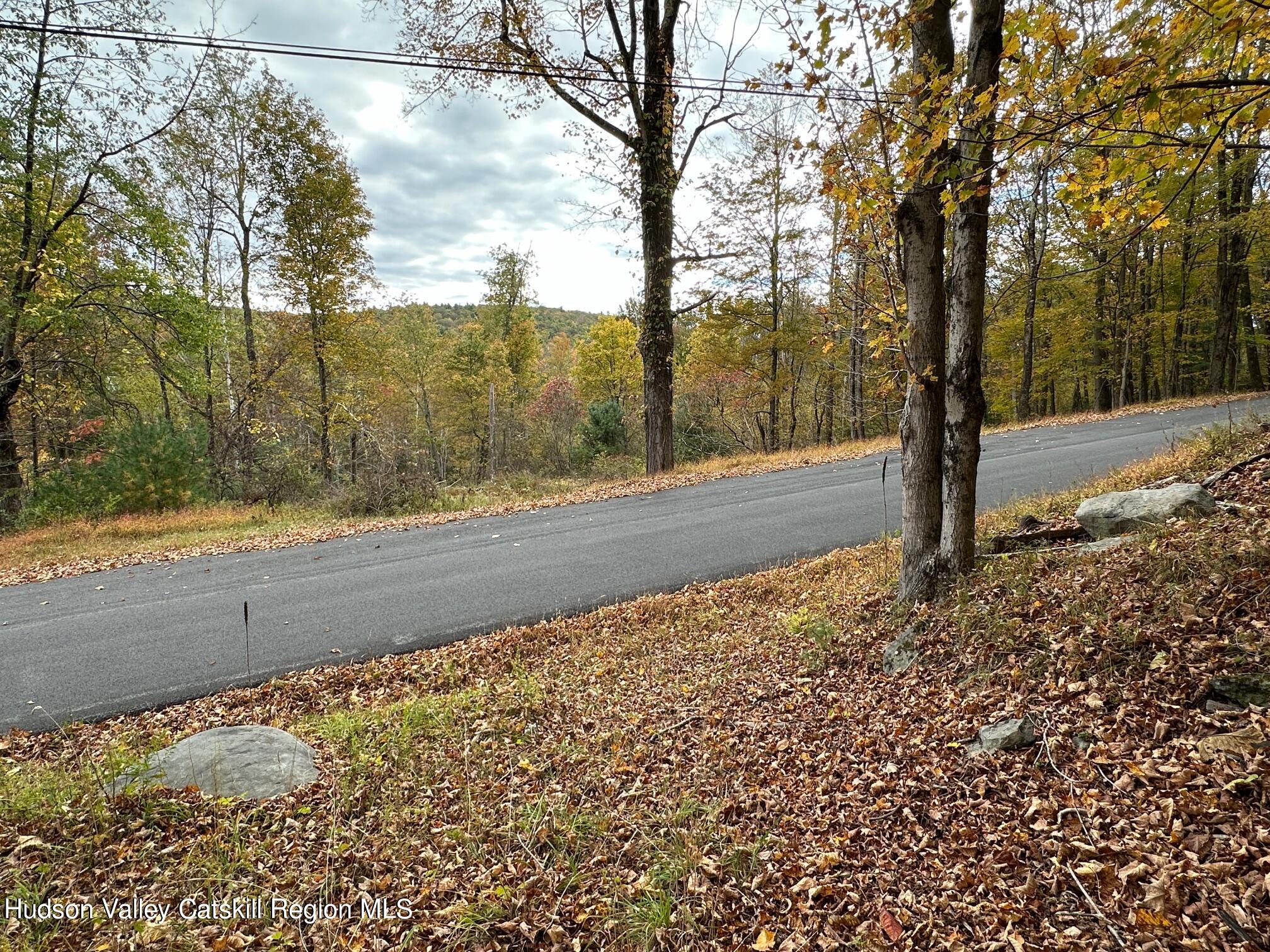 Tbd Oak Ridge Road, Ellenville, New York image 27
