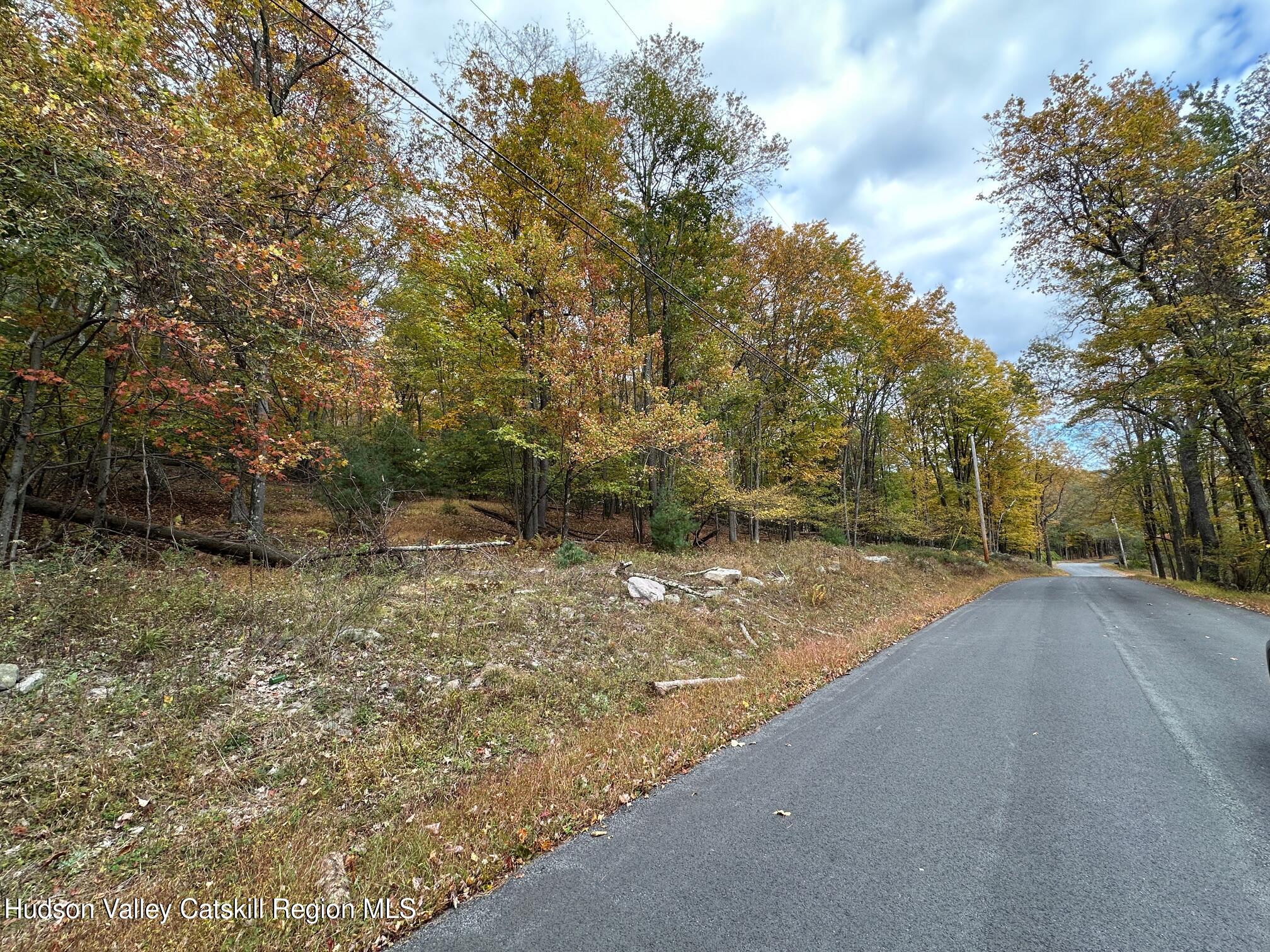 Tbd Oak Ridge Road, Ellenville, New York image 1