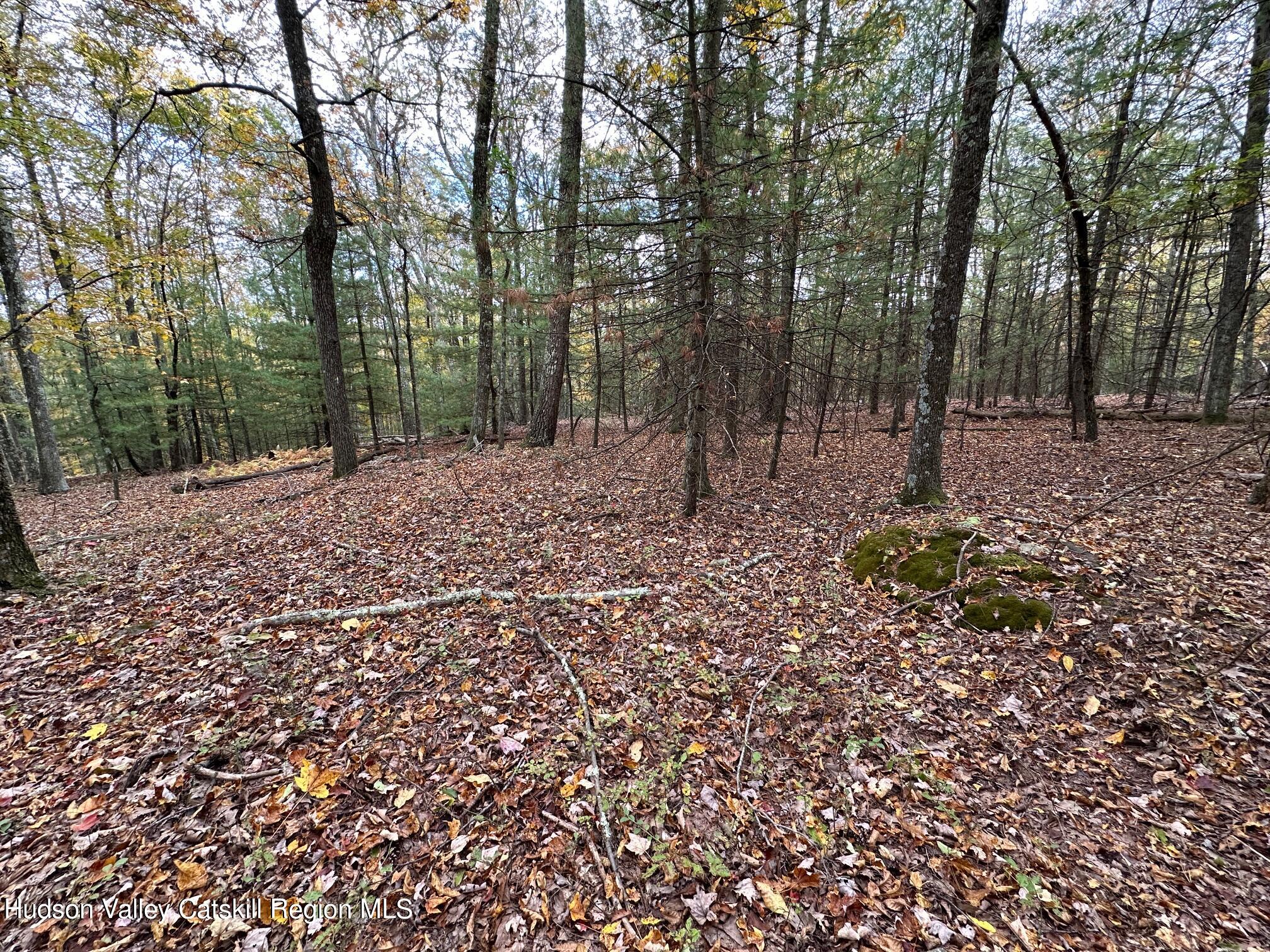 Tbd Oak Ridge Road, Ellenville, New York image 15