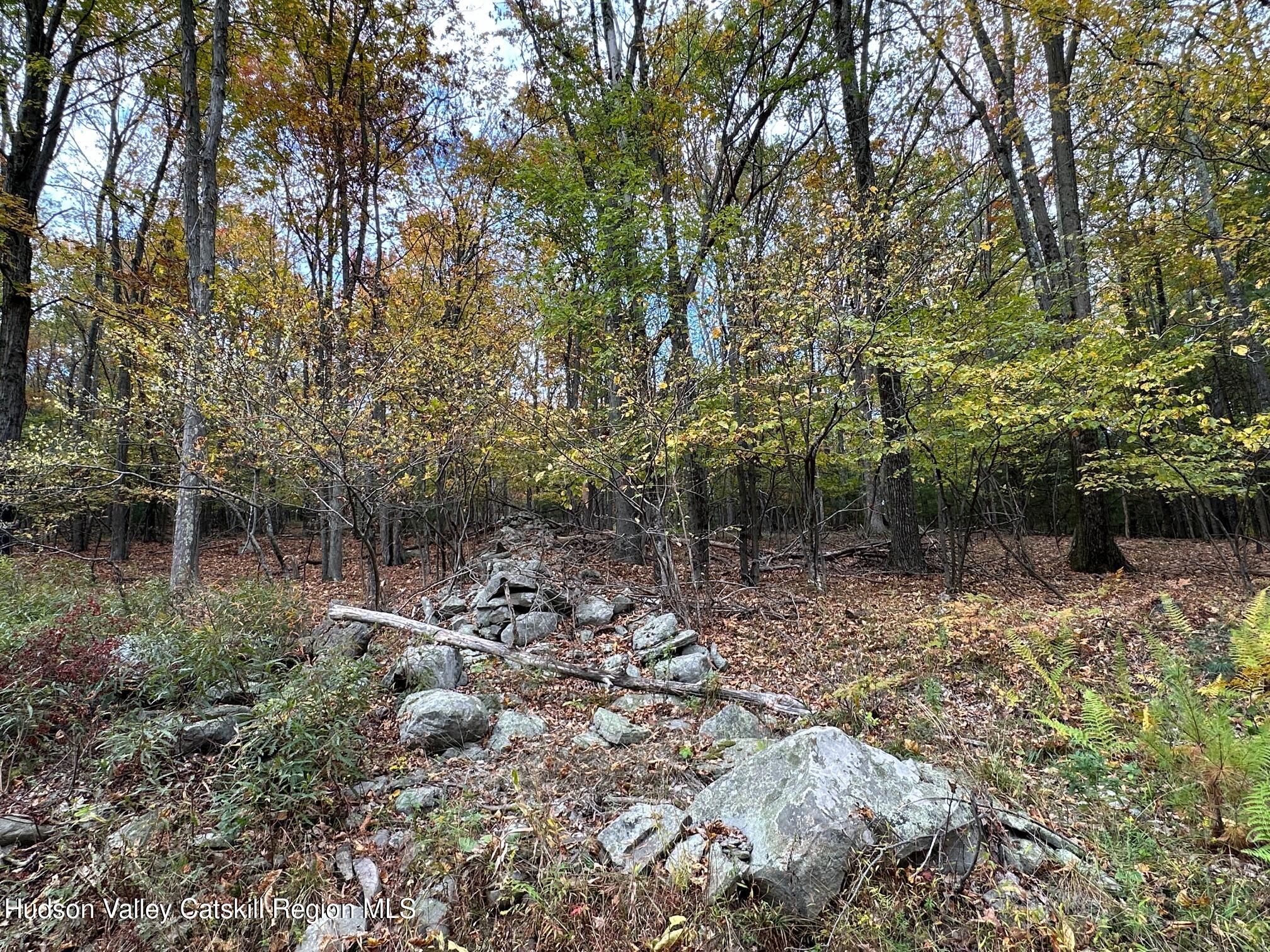 Tbd Oak Ridge Road, Ellenville, New York image 29