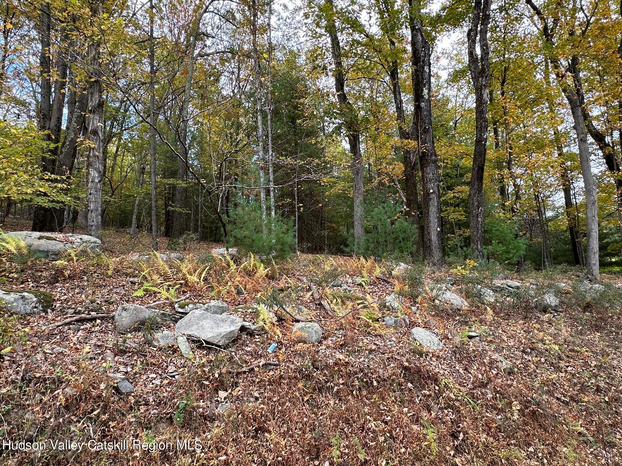 Tbd Oak Ridge Road, Ellenville, New York image 28
