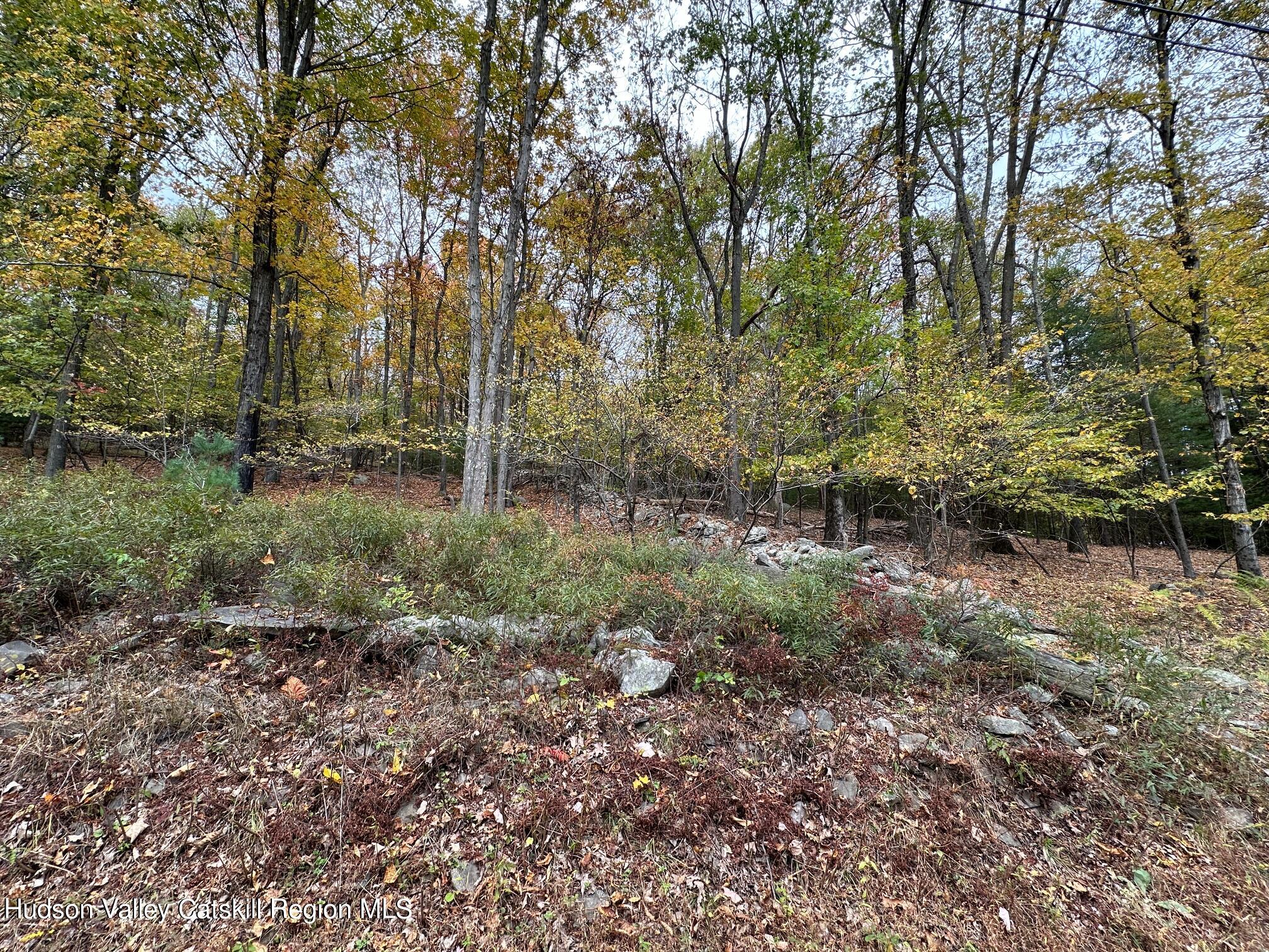 Tbd Oak Ridge Road, Ellenville, New York image 9