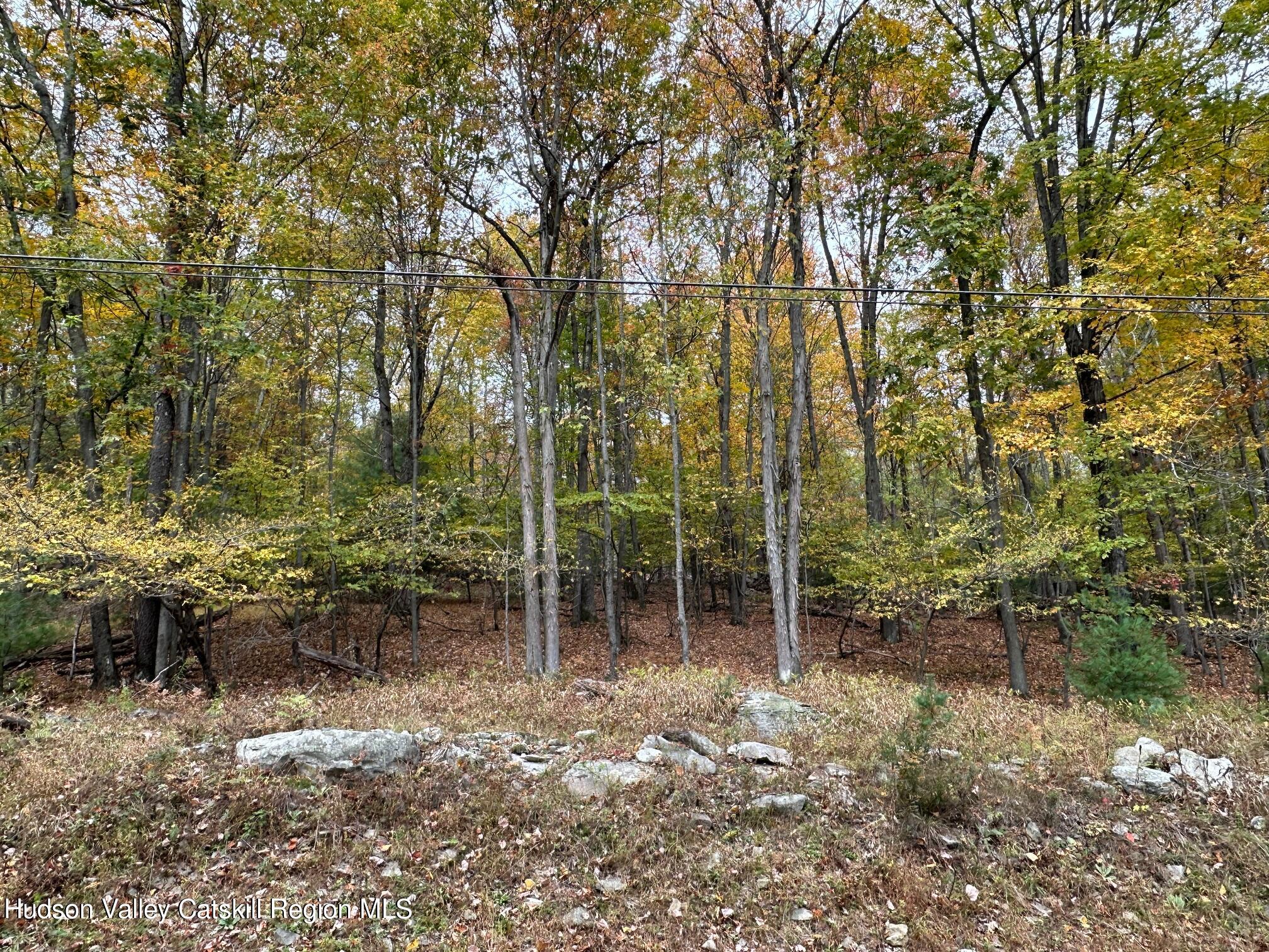 Tbd Oak Ridge Road, Ellenville, New York image 3