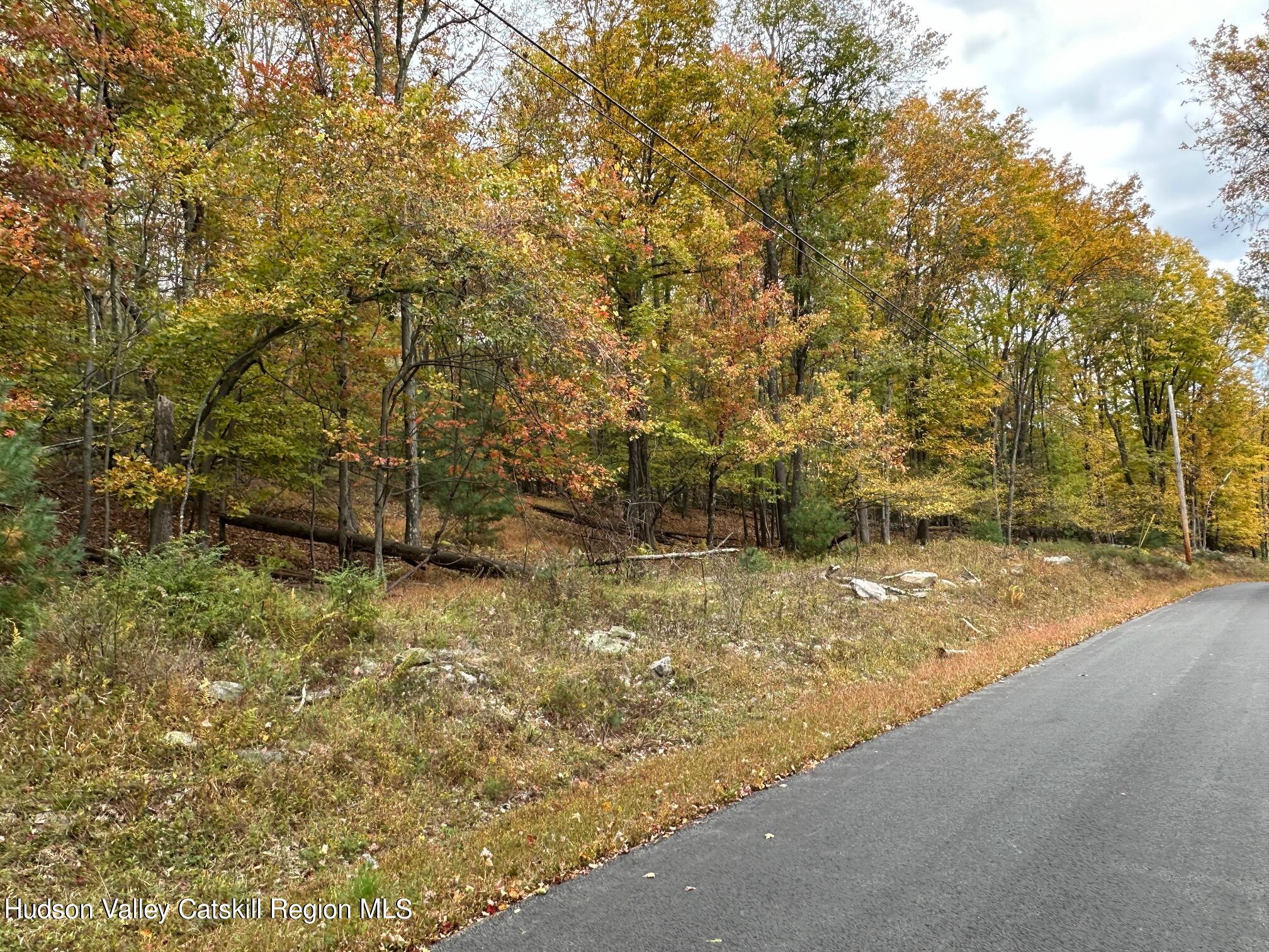 Tbd Oak Ridge Road, Ellenville, New York image 2