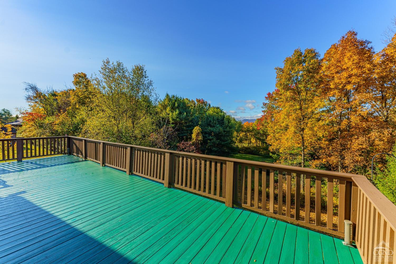 237 Sherwood Rd, Westerlo, New York image 38