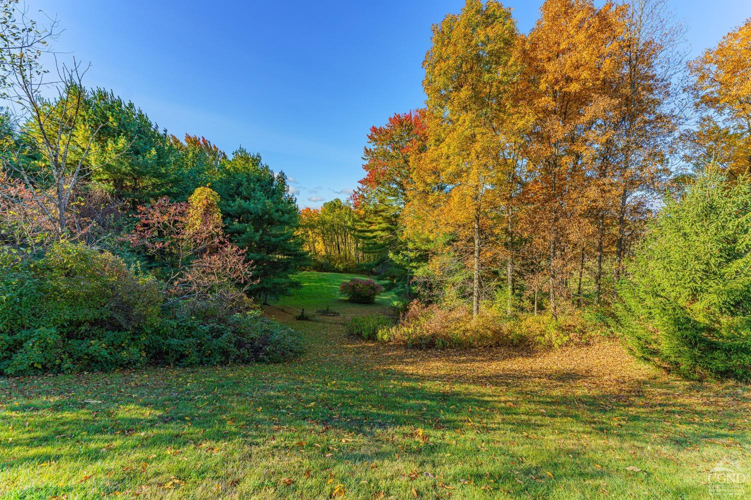 237 Sherwood Rd, Westerlo, New York image 44
