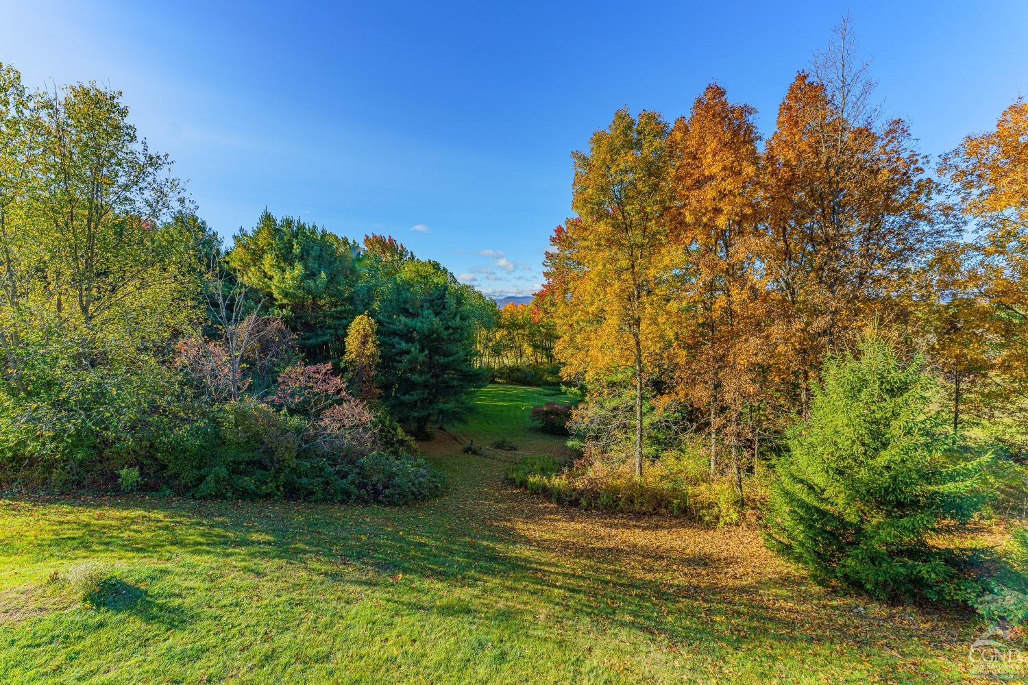 237 Sherwood Rd, Westerlo, New York image 39