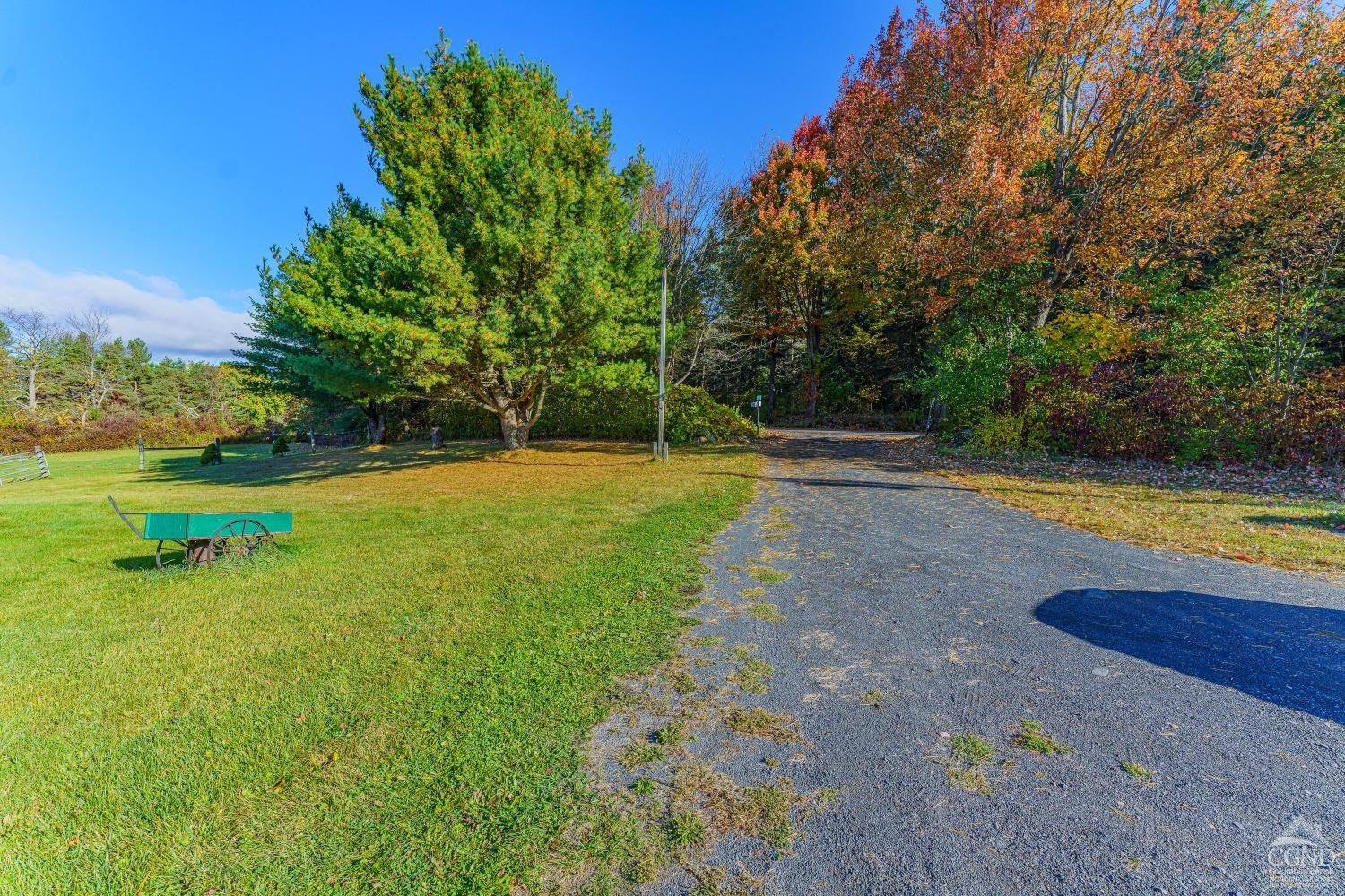237 Sherwood Rd, Westerlo, New York image 48