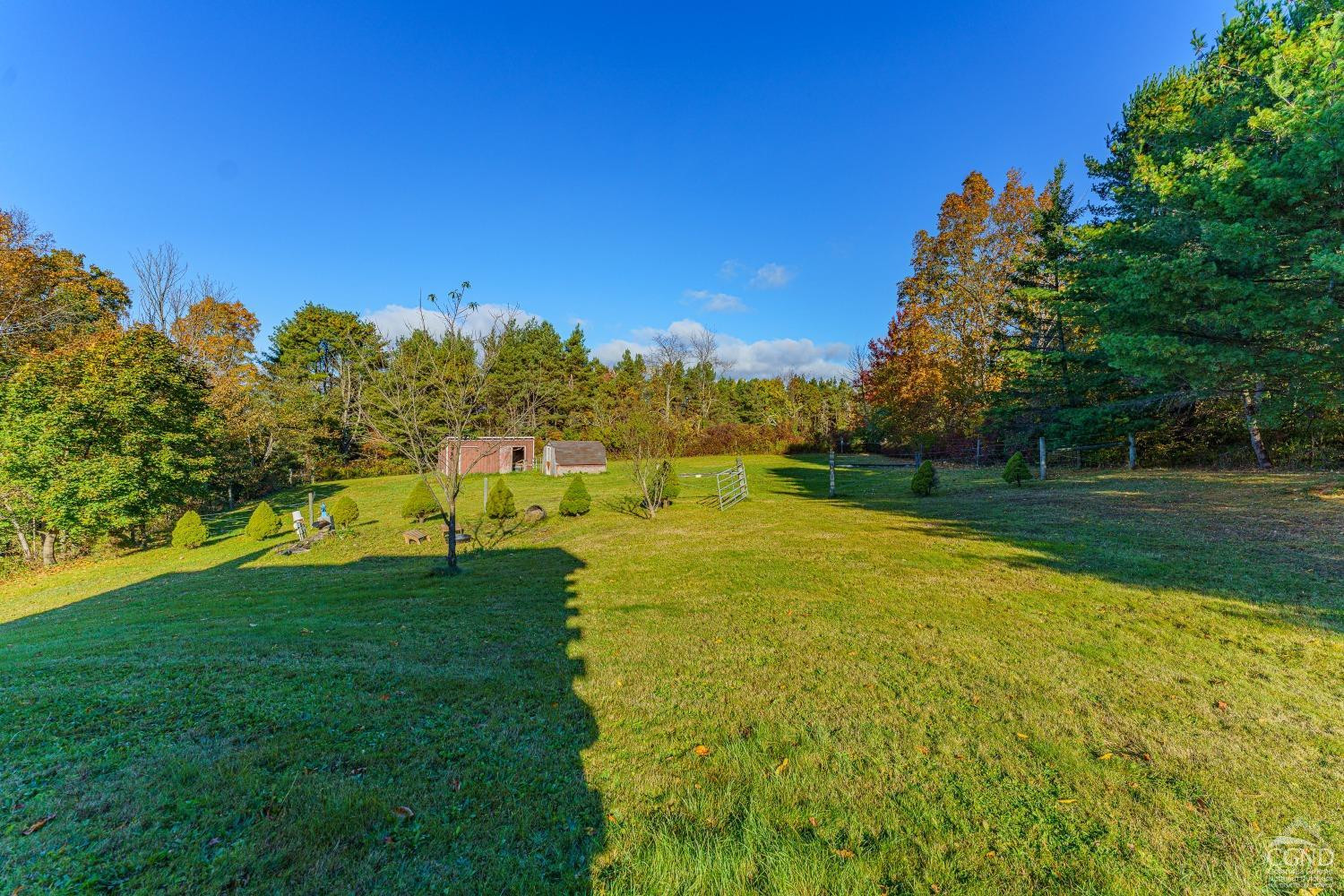 237 Sherwood Rd, Westerlo, New York image 40