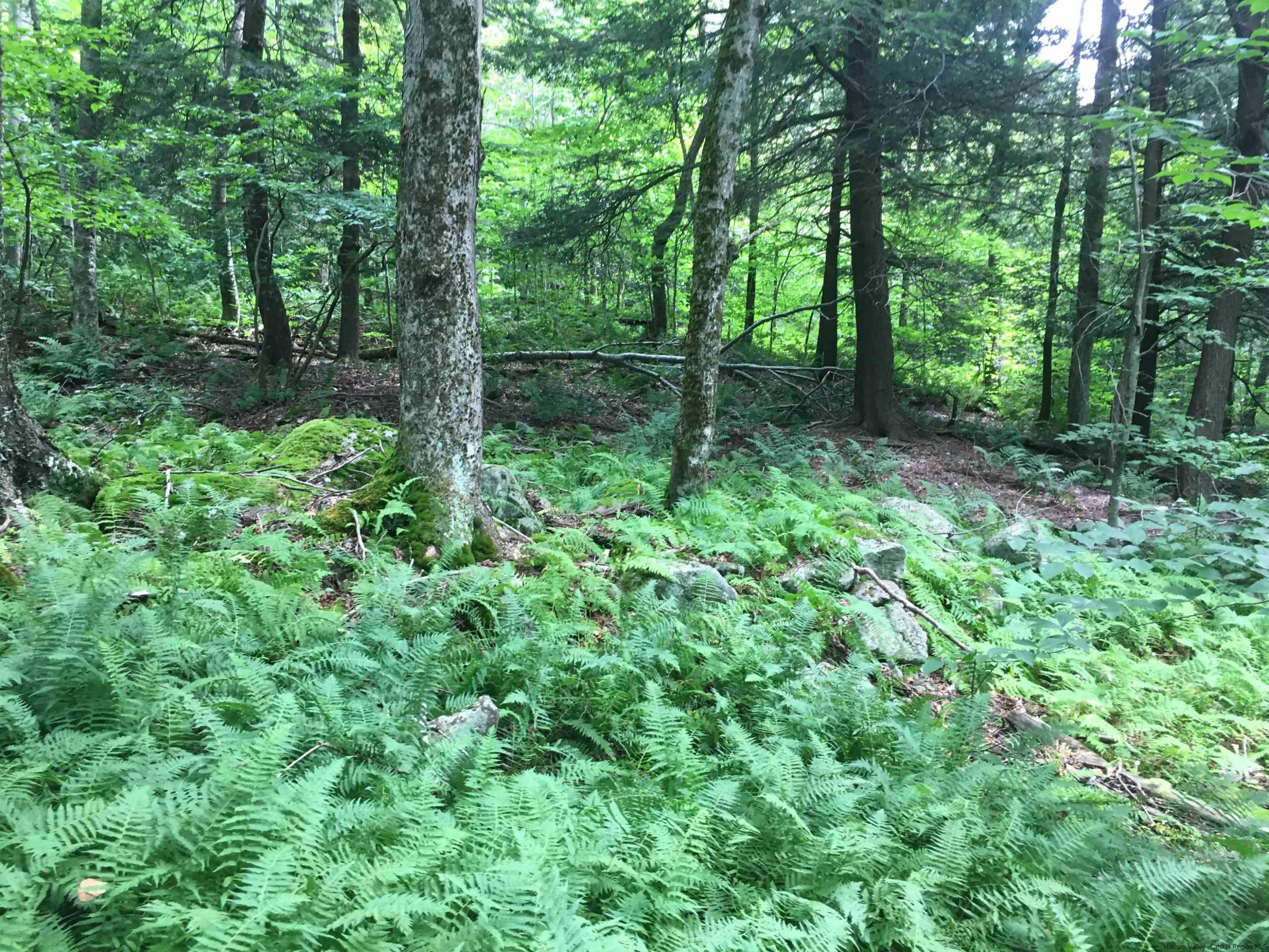 1656 Frost Valley Road, Claryville, New York -  - 