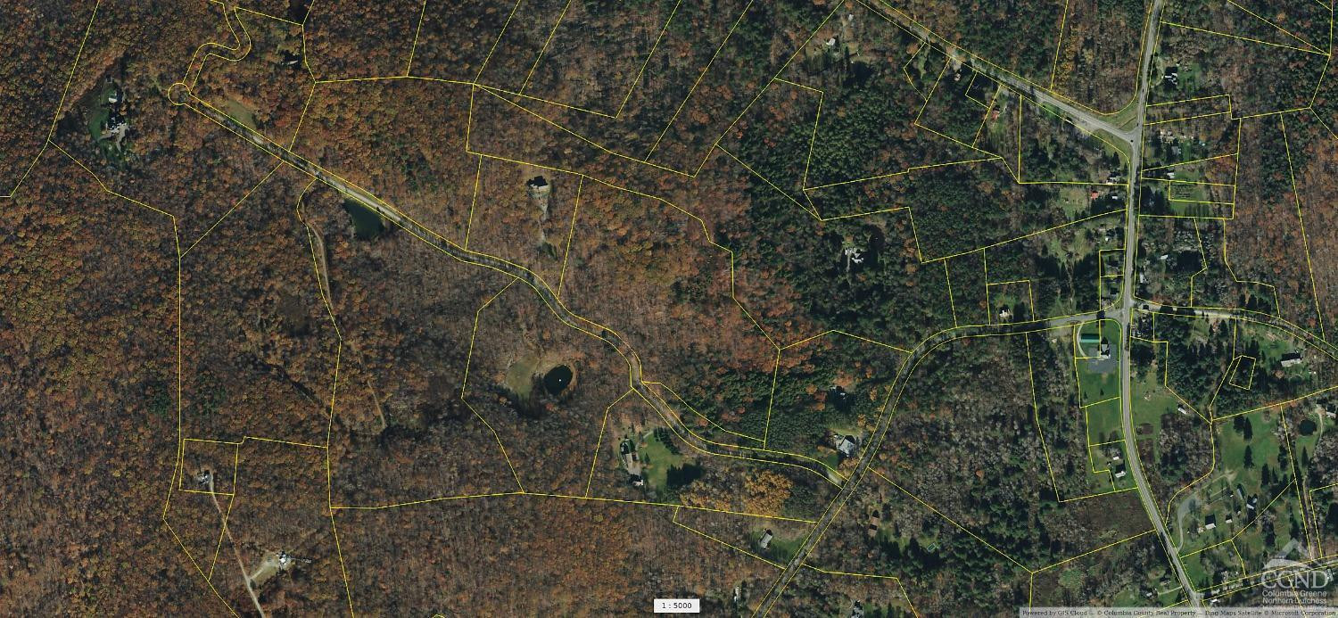 Amys Lane, Austerlitz, Georgia image 3