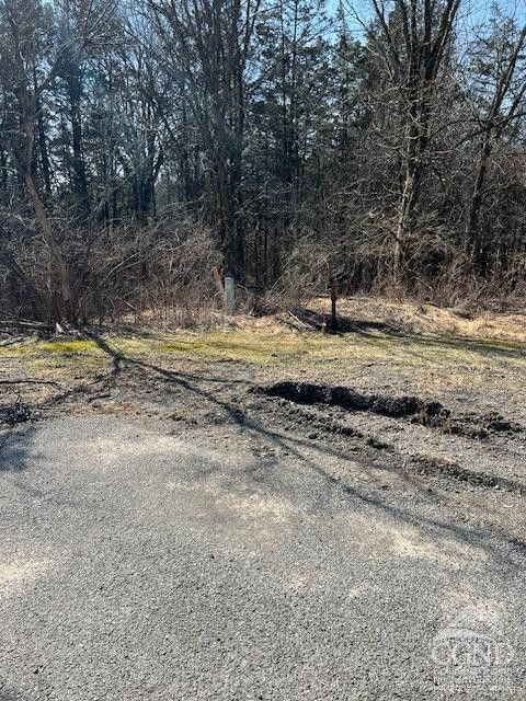 Vacant Land For Sale - 12 Sunset Court<br/> Athens, NY 12015