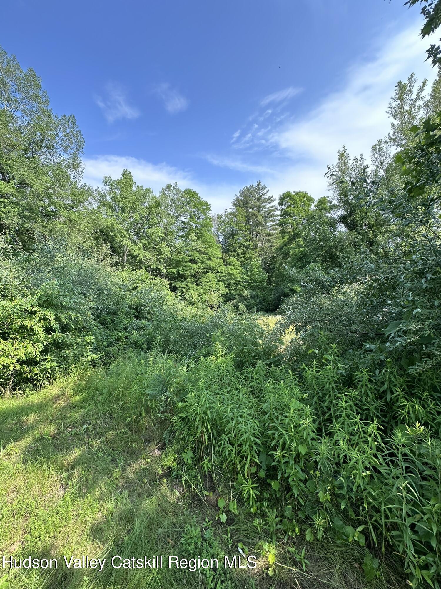 Tbd Creek Road, Catskill, New York image 16