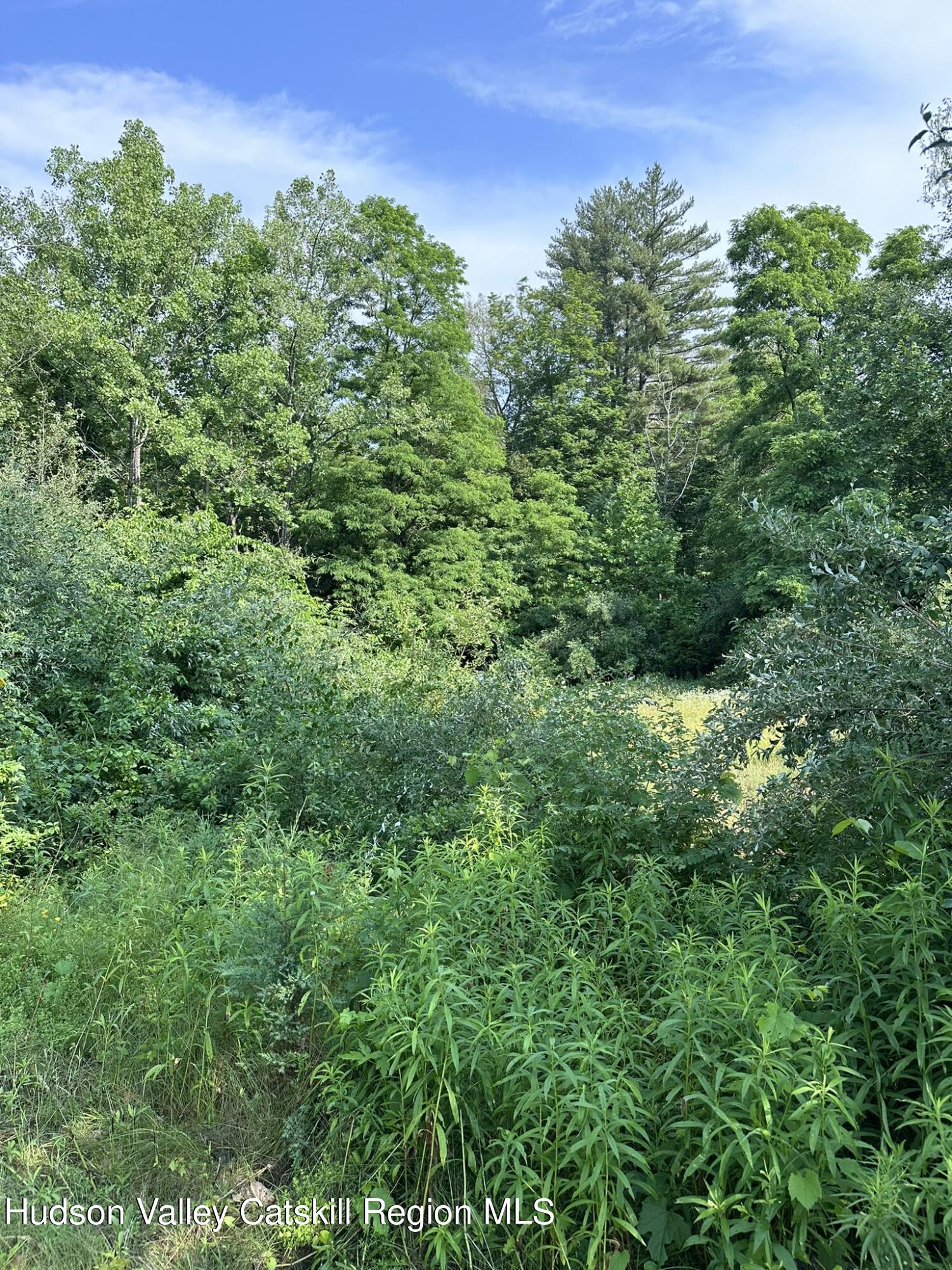 Tbd Creek Road, Catskill, New York image 15