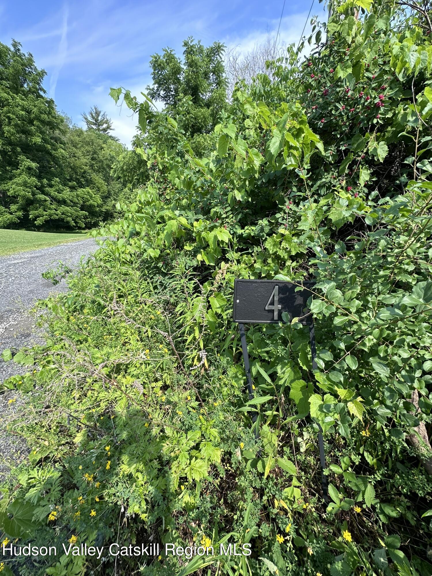 Tbd Creek Road, Catskill, New York image 19