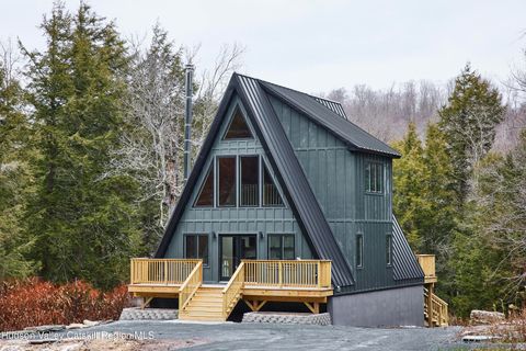 Photo of 343 Dahlia Road, Livingston Manor, NY 12758 (MLS # 20255776)