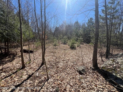 Vacant Land For Sale - Route 23c<br/> Jewett, NY 12444