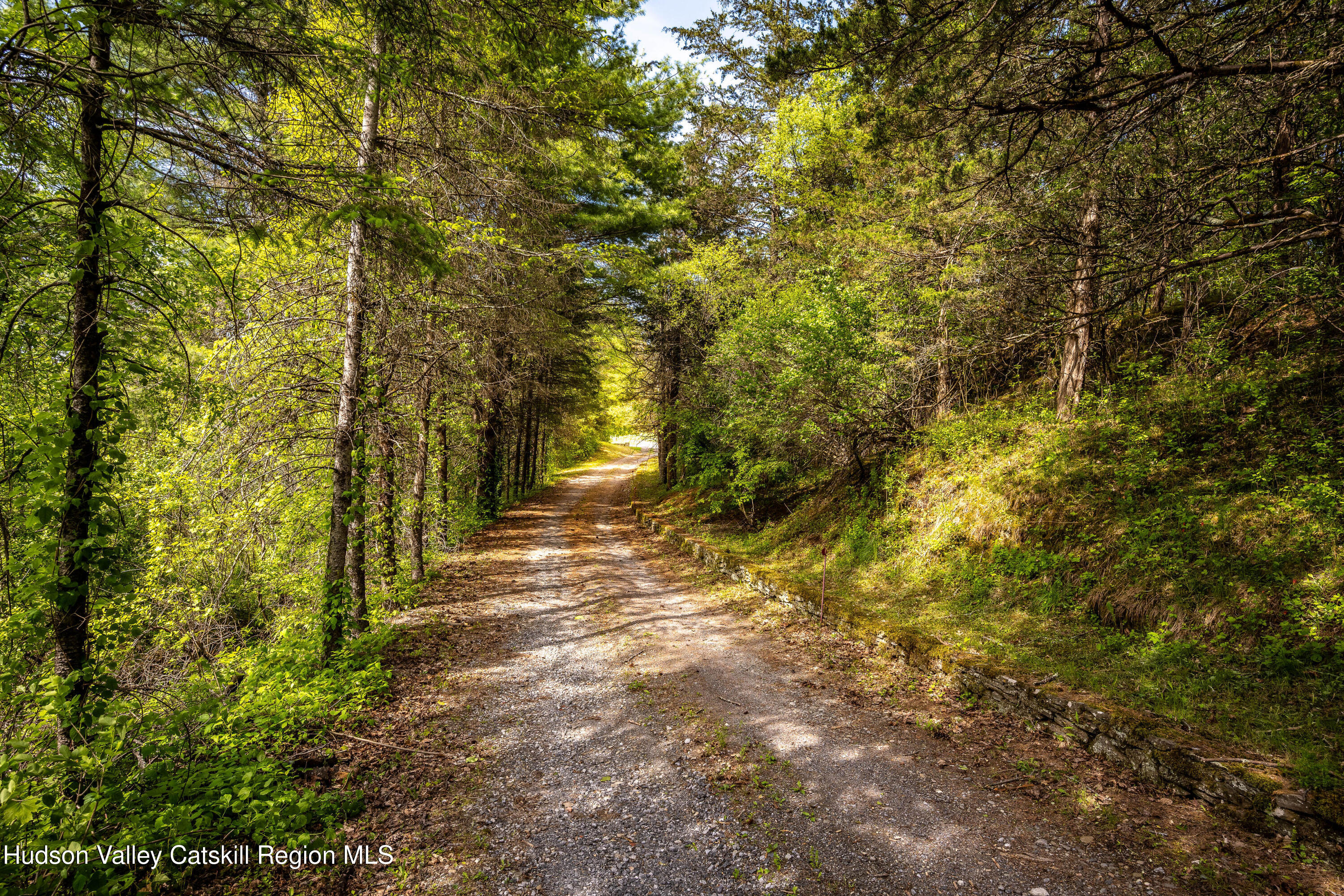 273 Round Top Road Rd, Germantown, Texas image 36