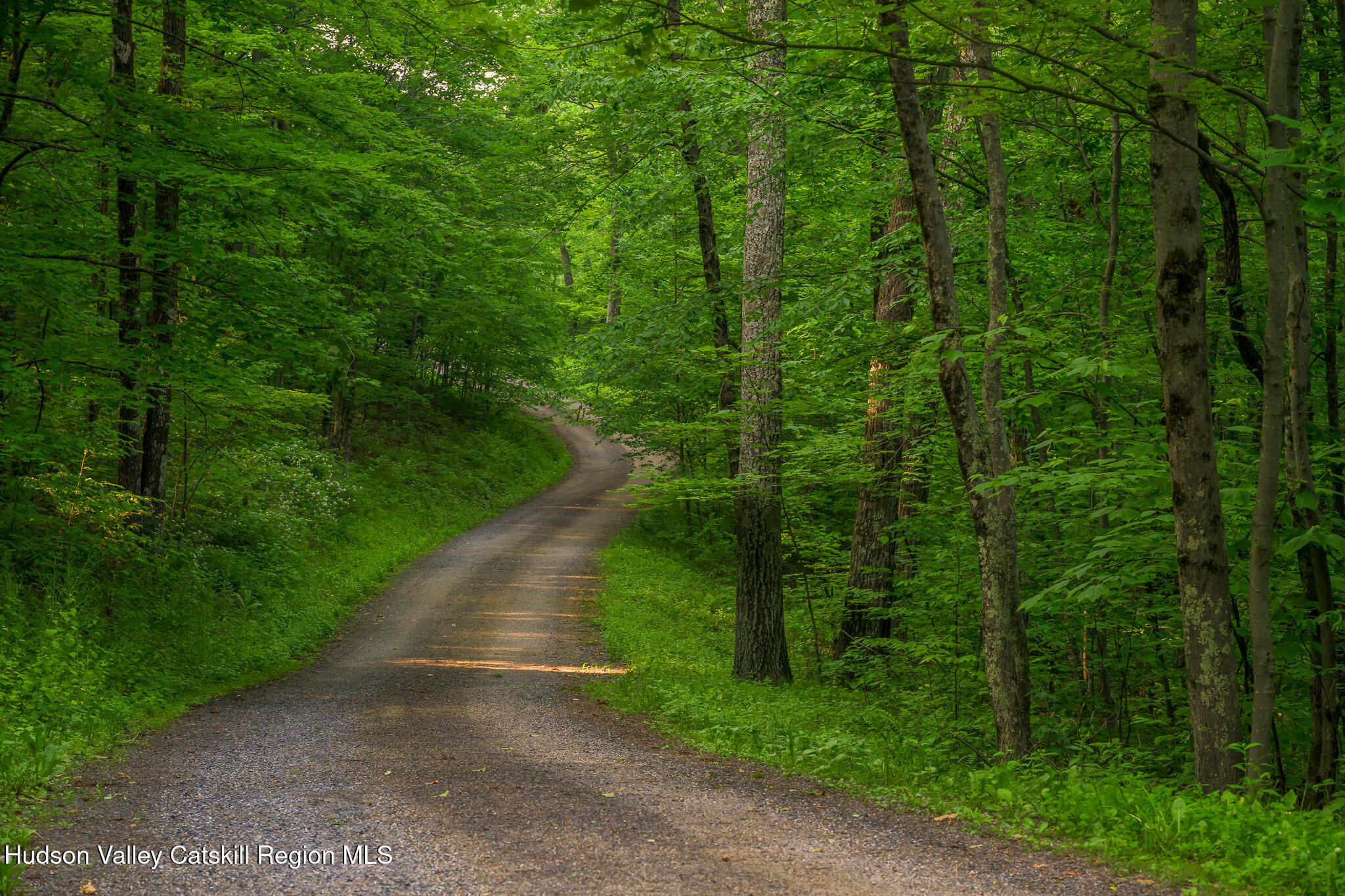 350 Tory Hill Farm Road, Hillsdale, Texas image 3