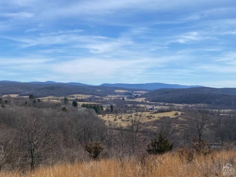 Vacant Land For Sale - Darling Rd Road<br/> Columbia County, Hillsdale, NY 12529