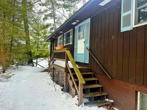 Photo of 39 Island Drive, Copake, NY 12516 (MLS # 20260691)