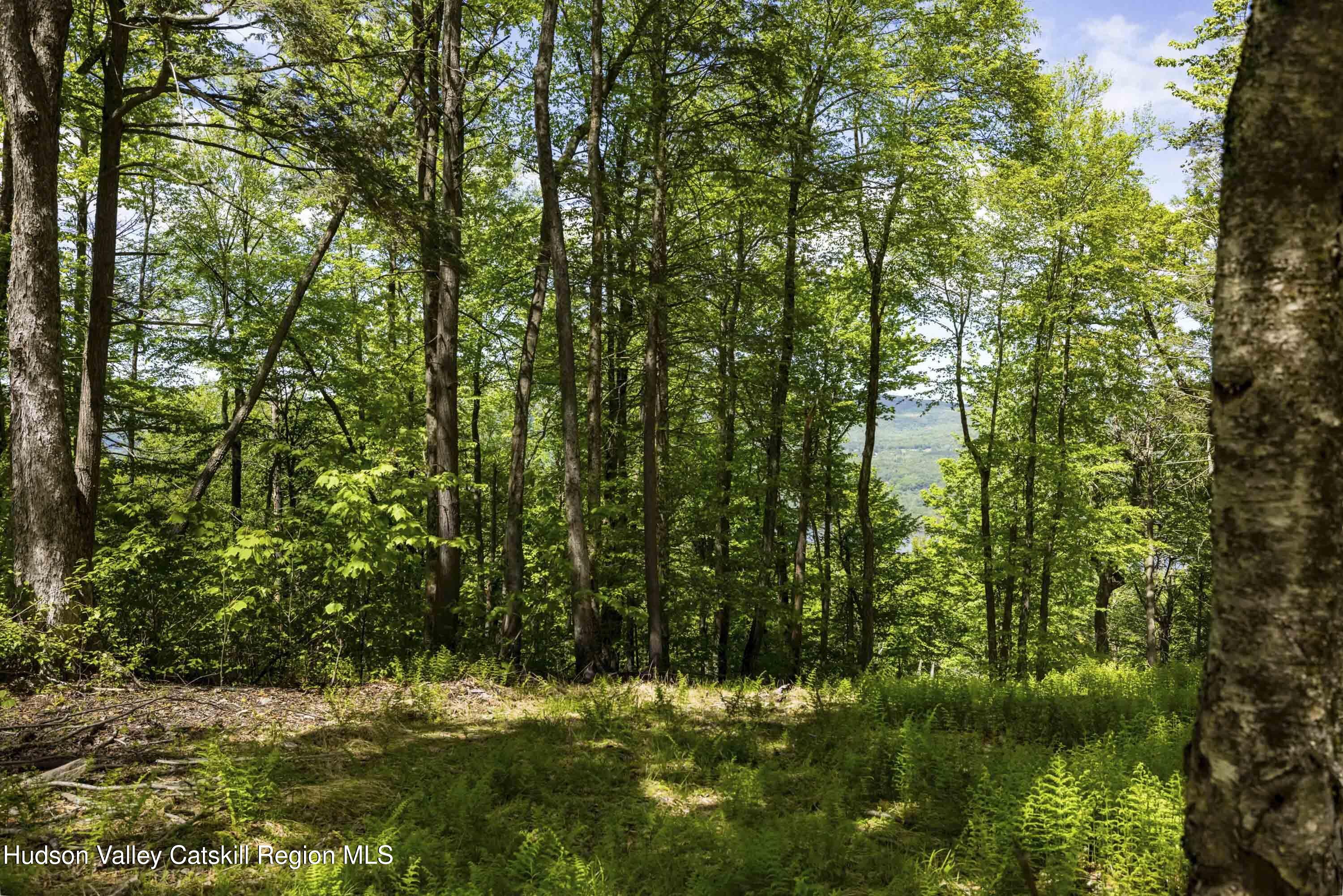 2 Red Rock Road, Wawarsing, New Mexico image 6