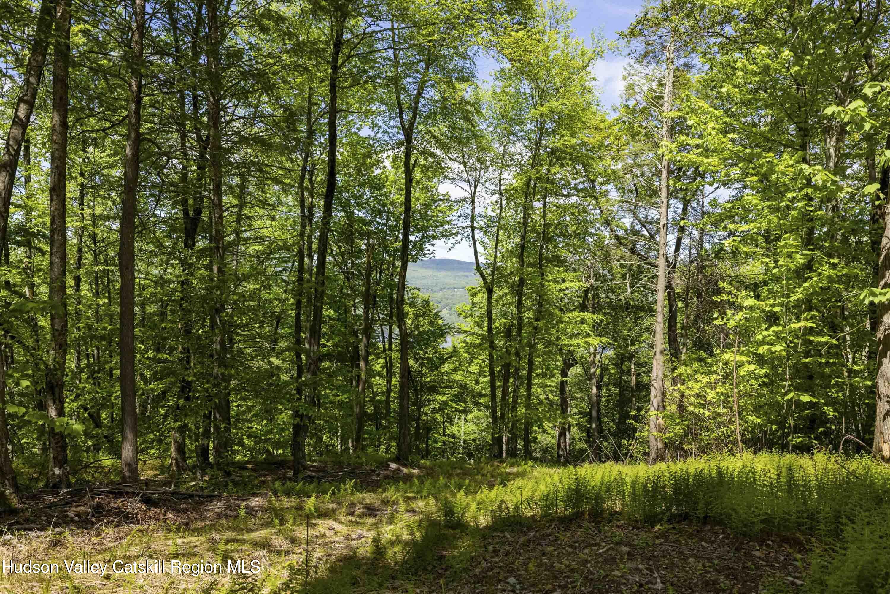2 Red Rock Road, Wawarsing, New Mexico image 5