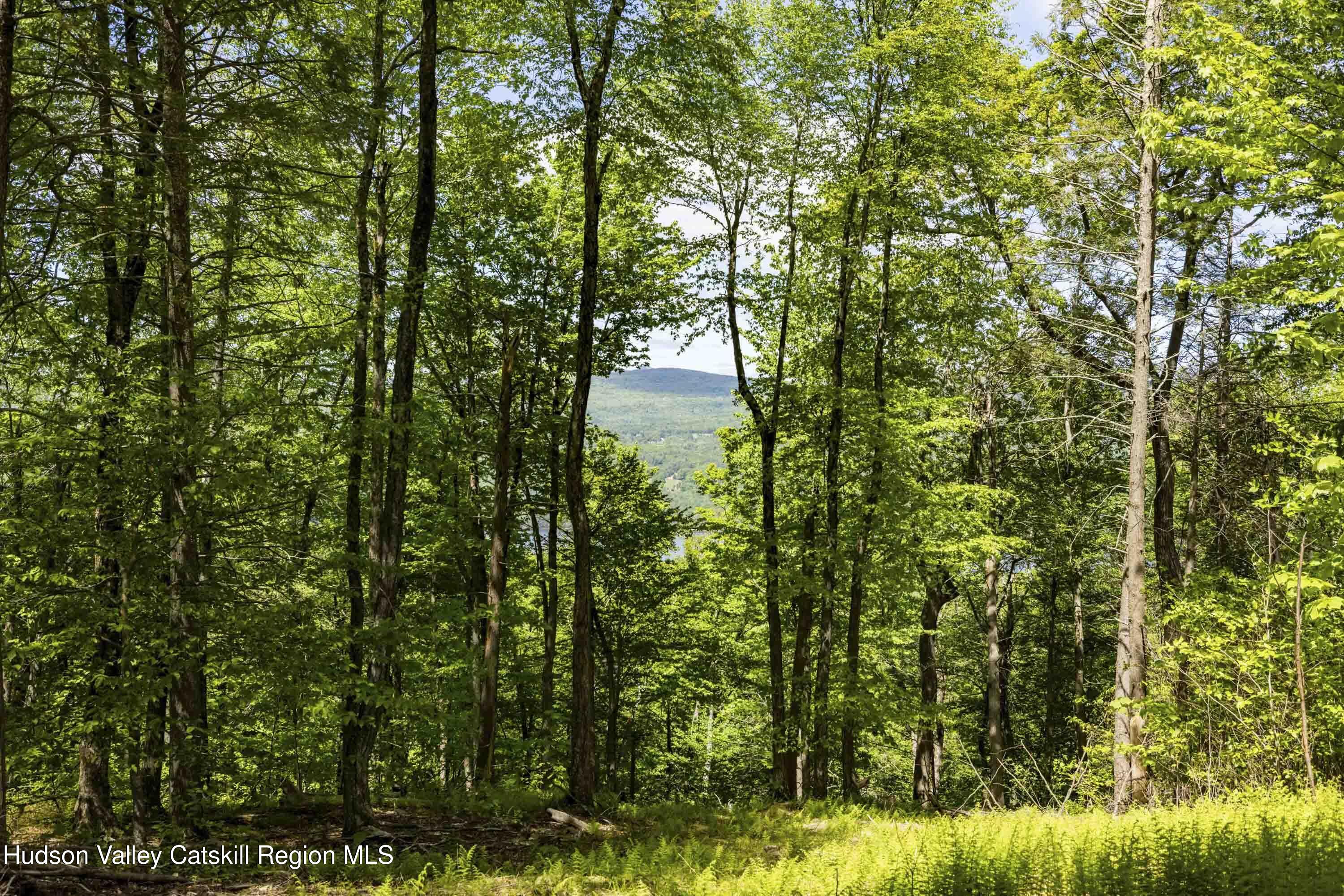 2 Red Rock Road, Wawarsing, New Mexico image 3